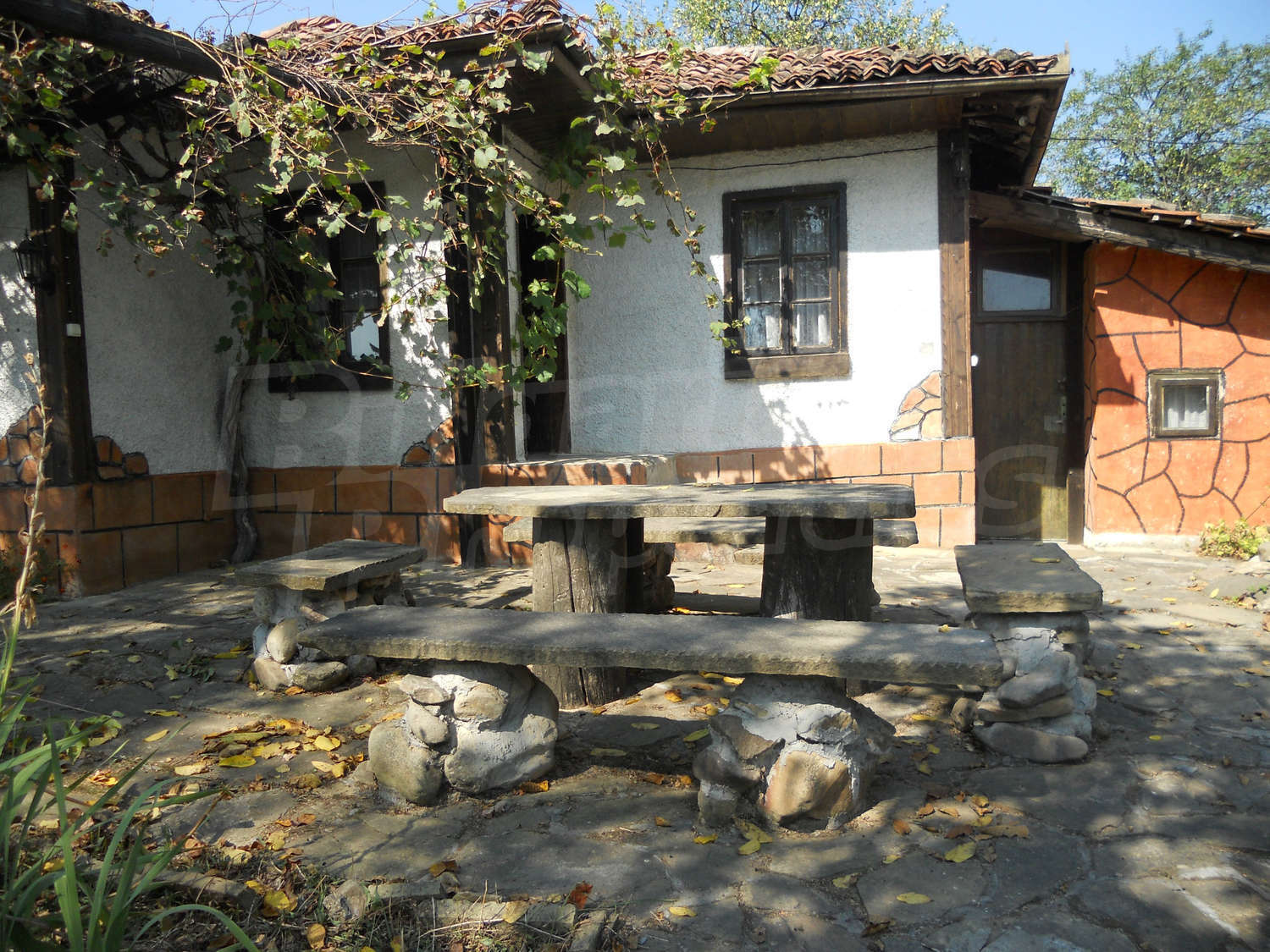 Gallery Picture 17