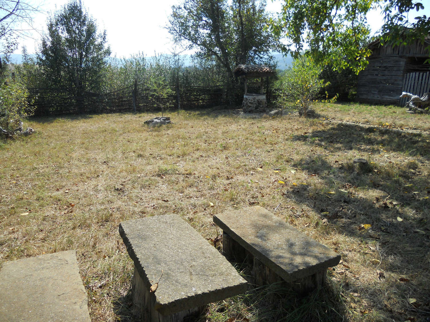Gallery Picture 19