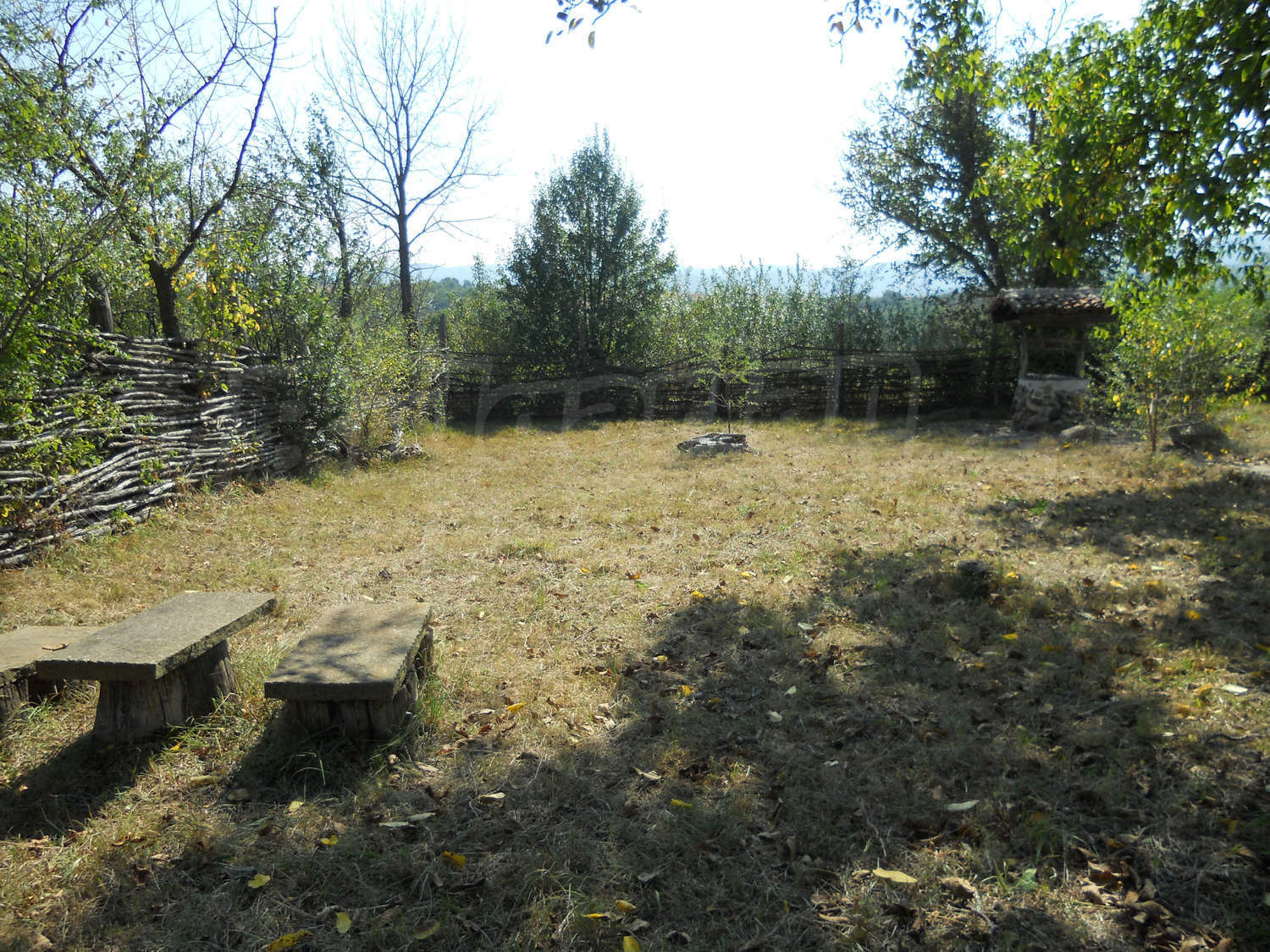 Gallery Picture 20