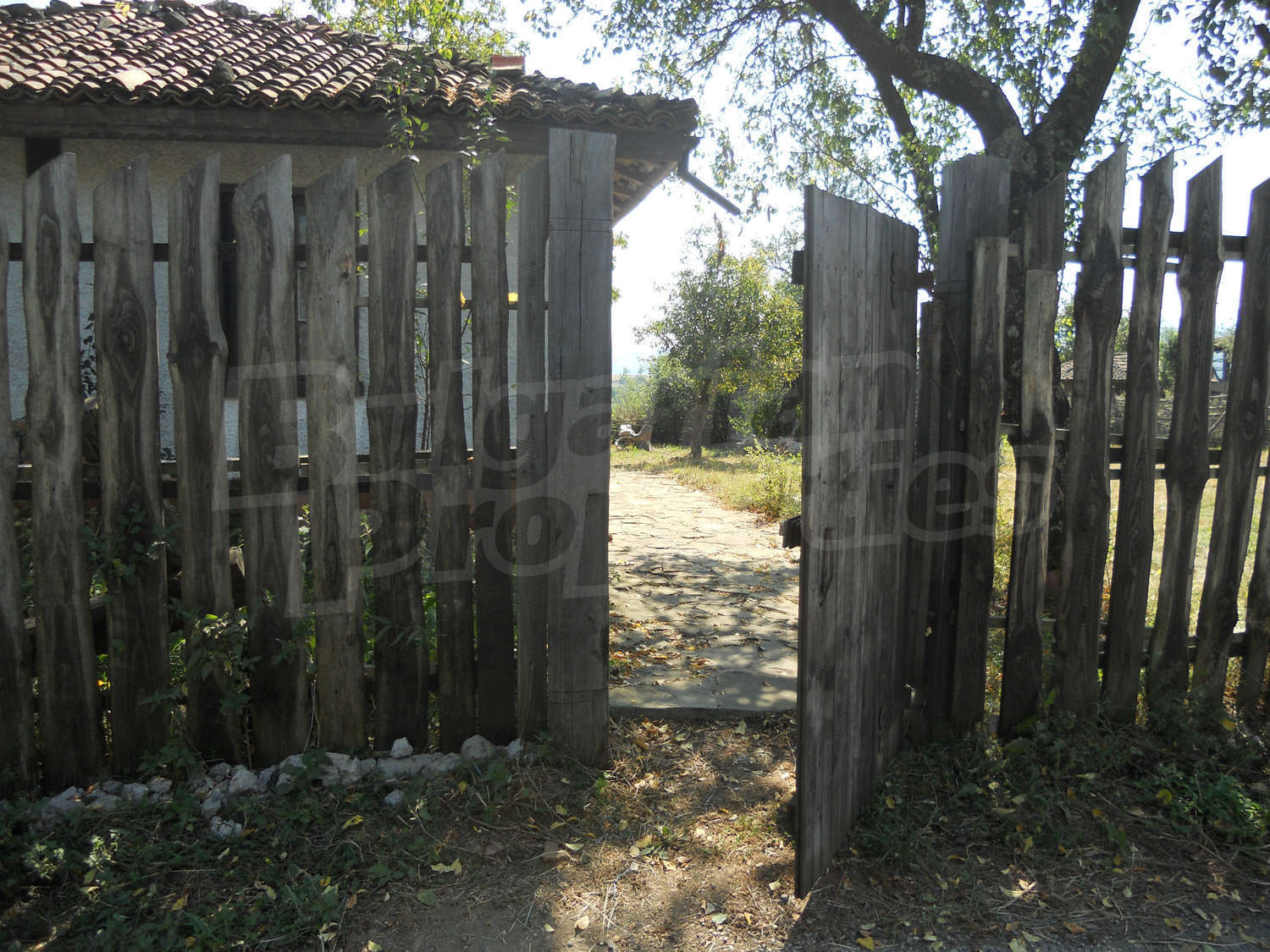 Gallery Picture 21