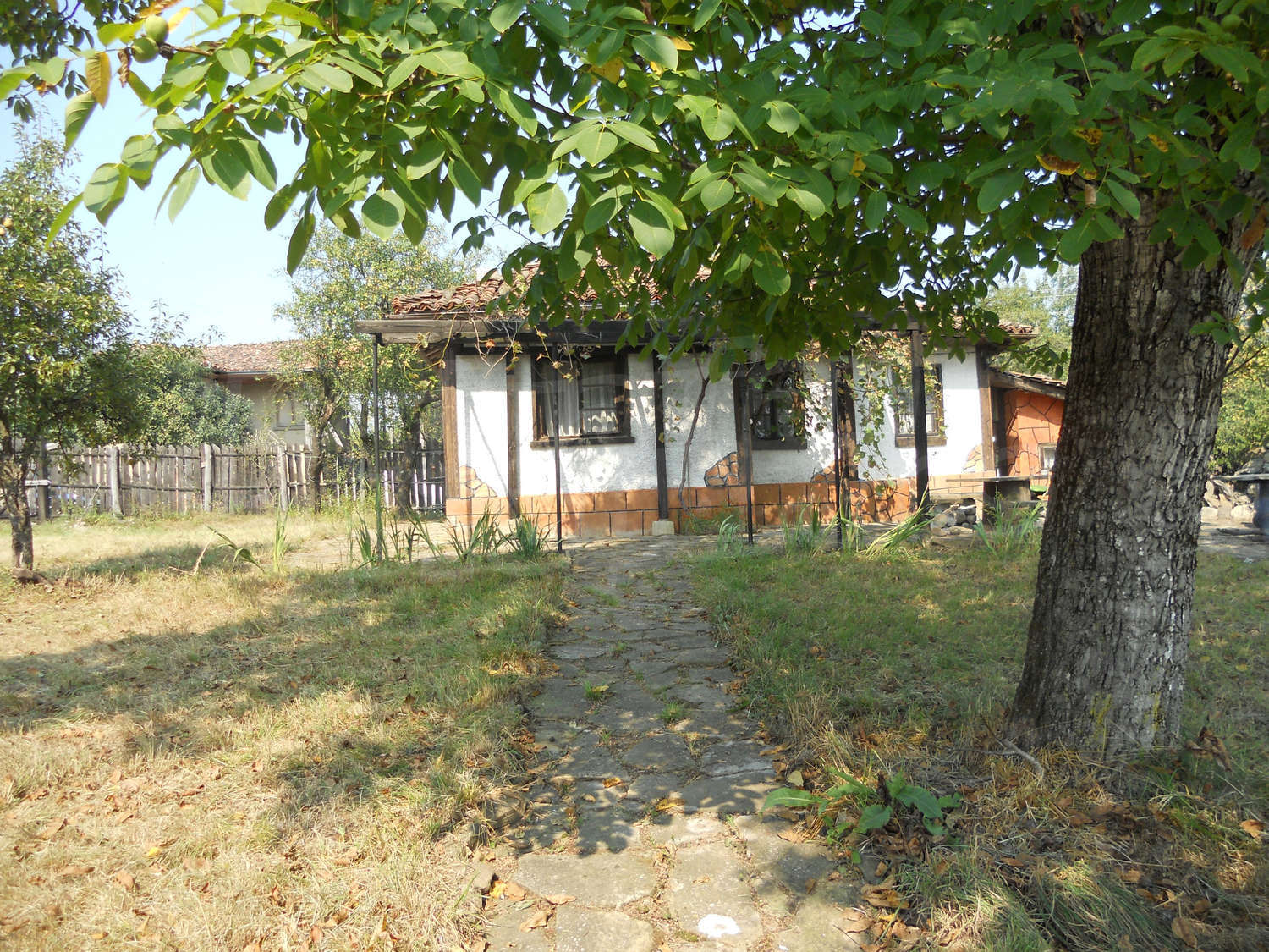 Gallery Picture 23