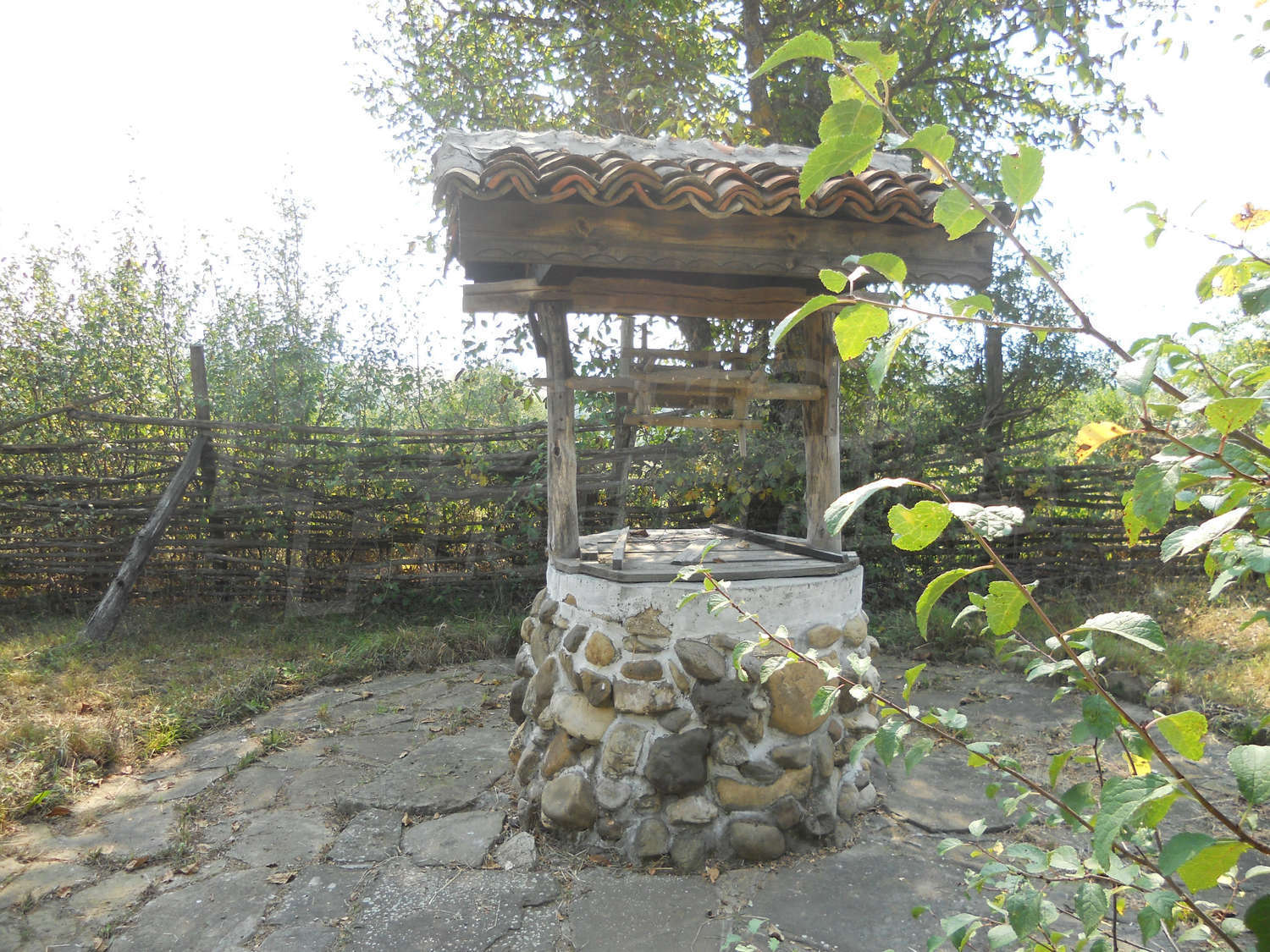 Gallery Picture 25
