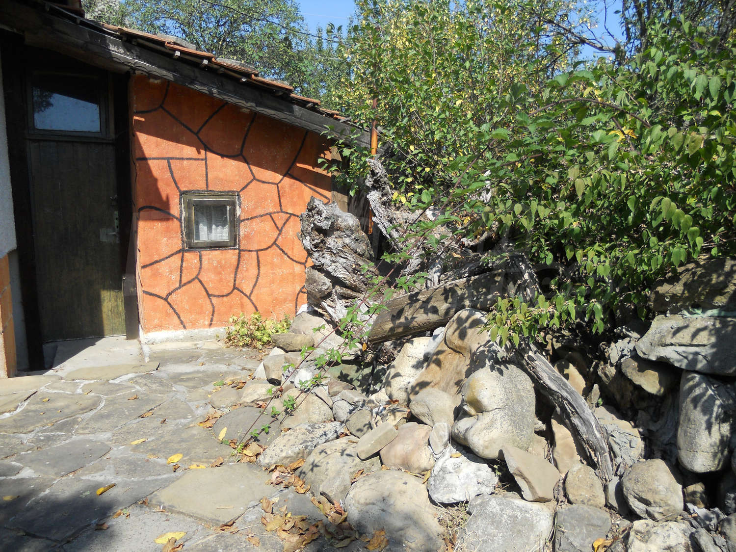 Gallery Picture 26