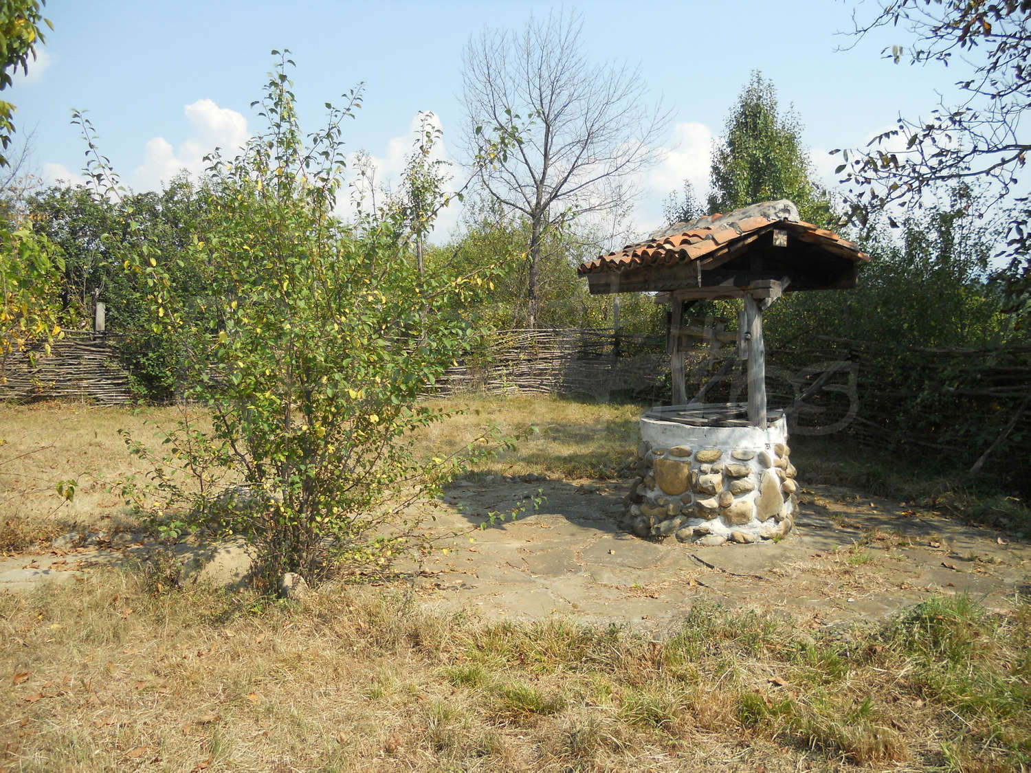 Gallery Picture 27