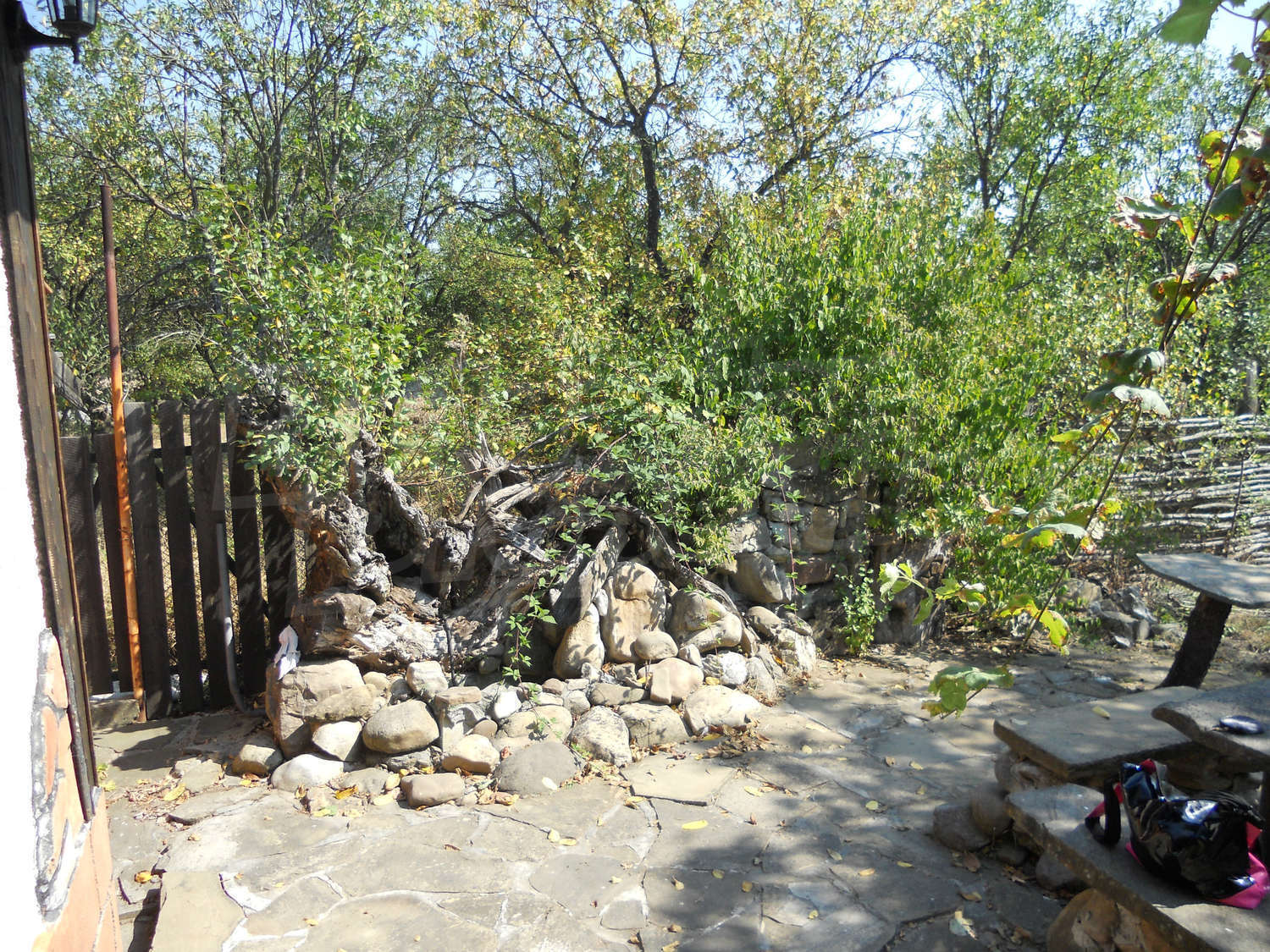 Gallery Picture 30