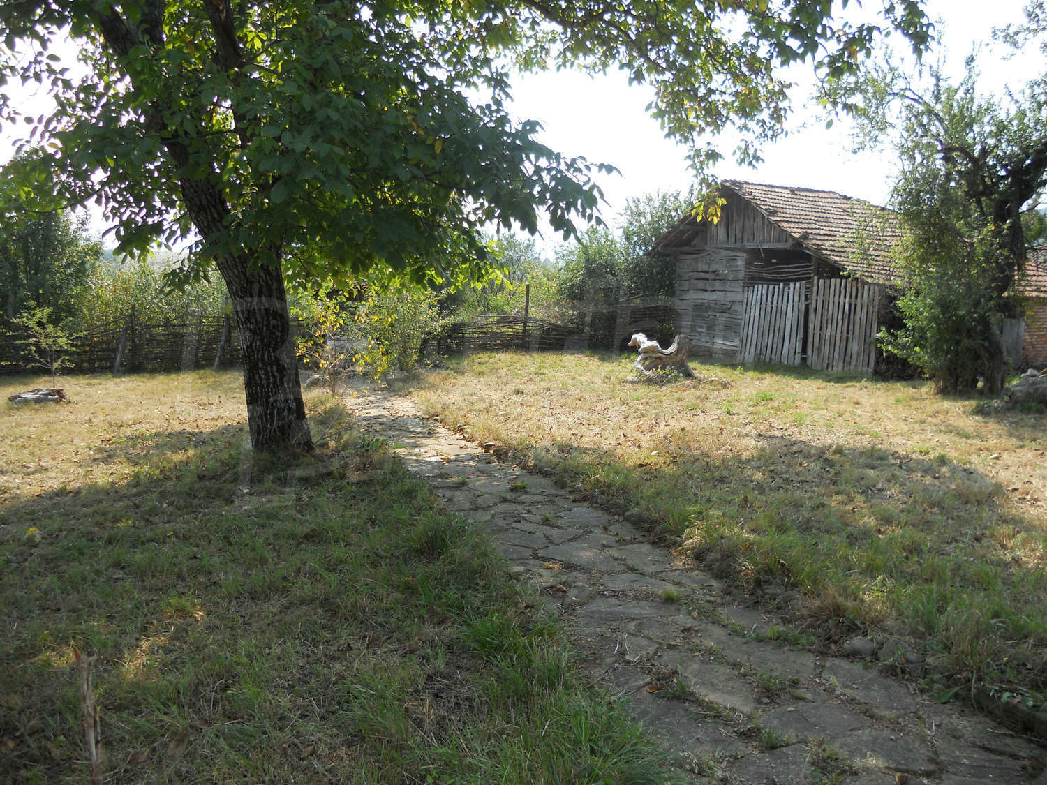 Gallery Picture 31