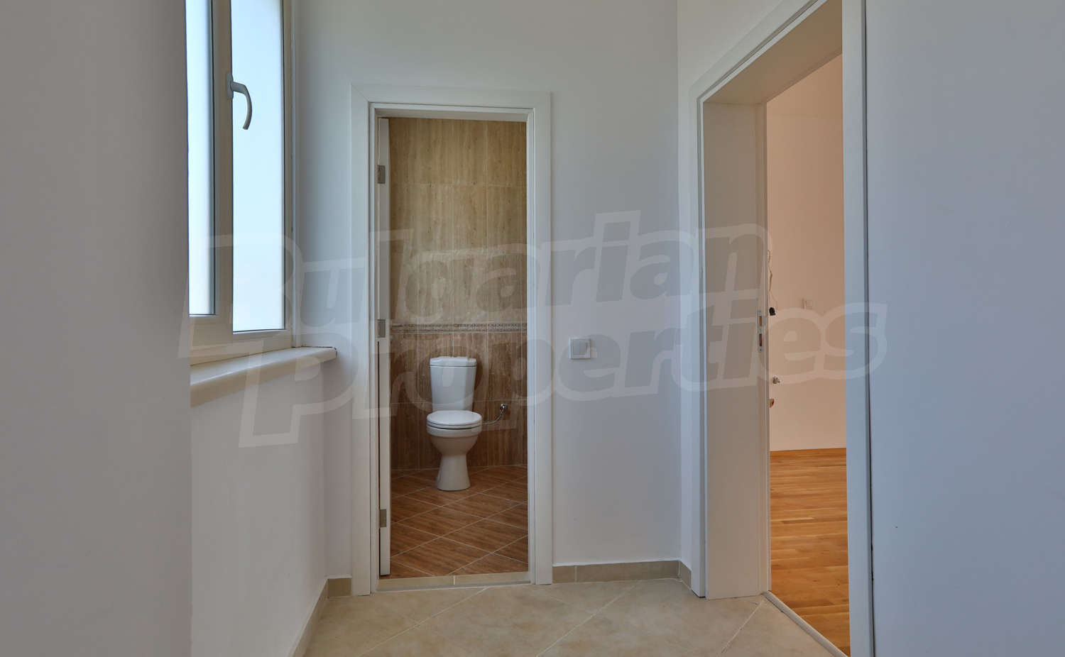 Gallery Picture 41