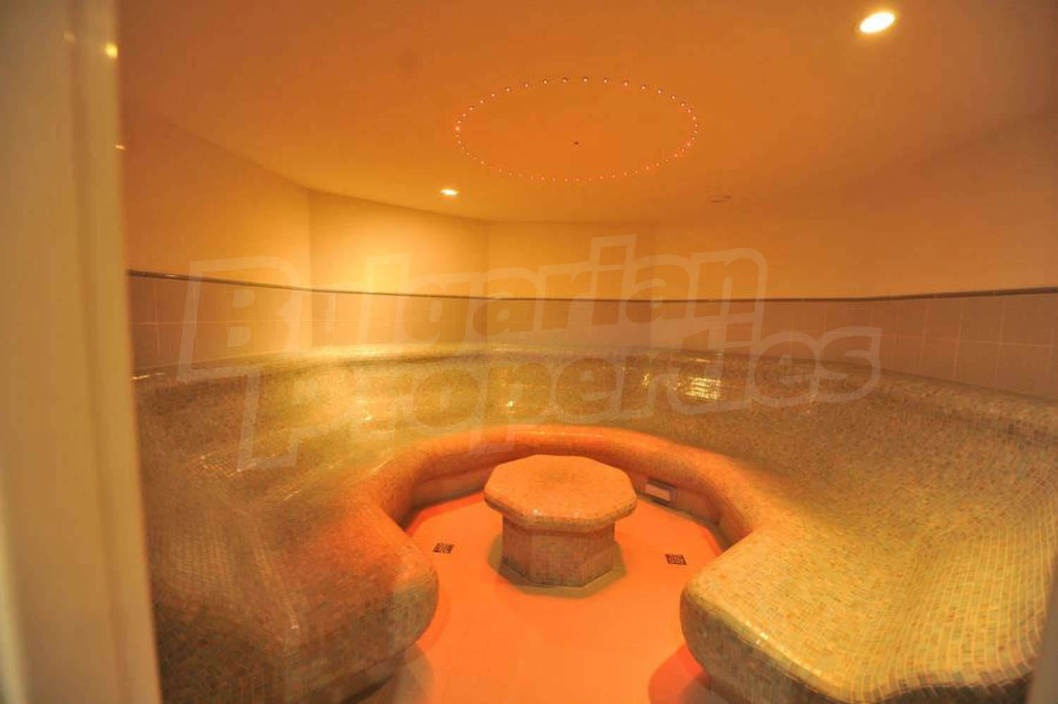 Gallery Picture 21