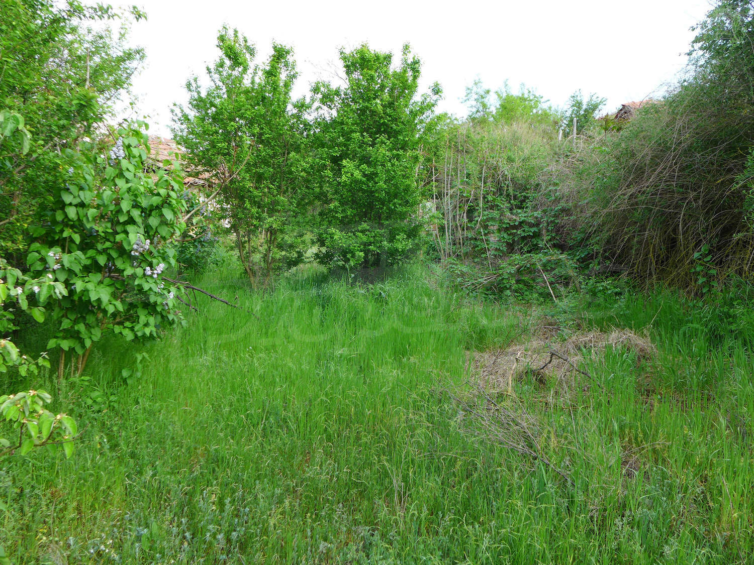 Gallery Picture 12
