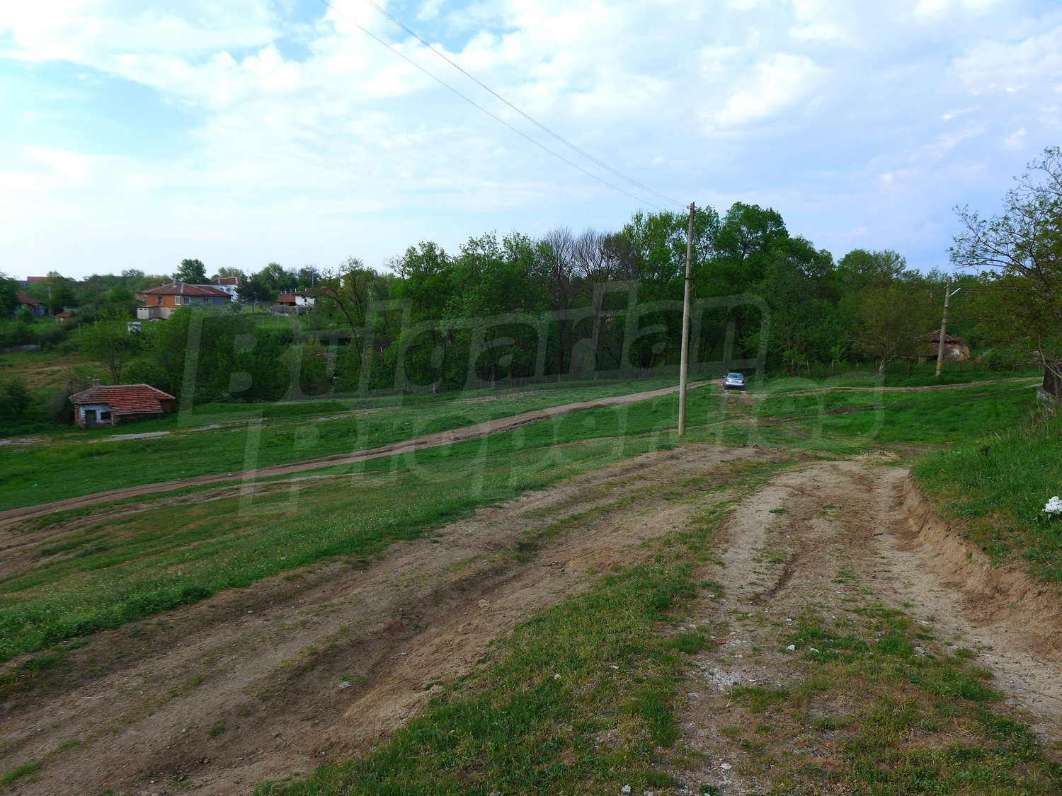 Gallery Picture 19