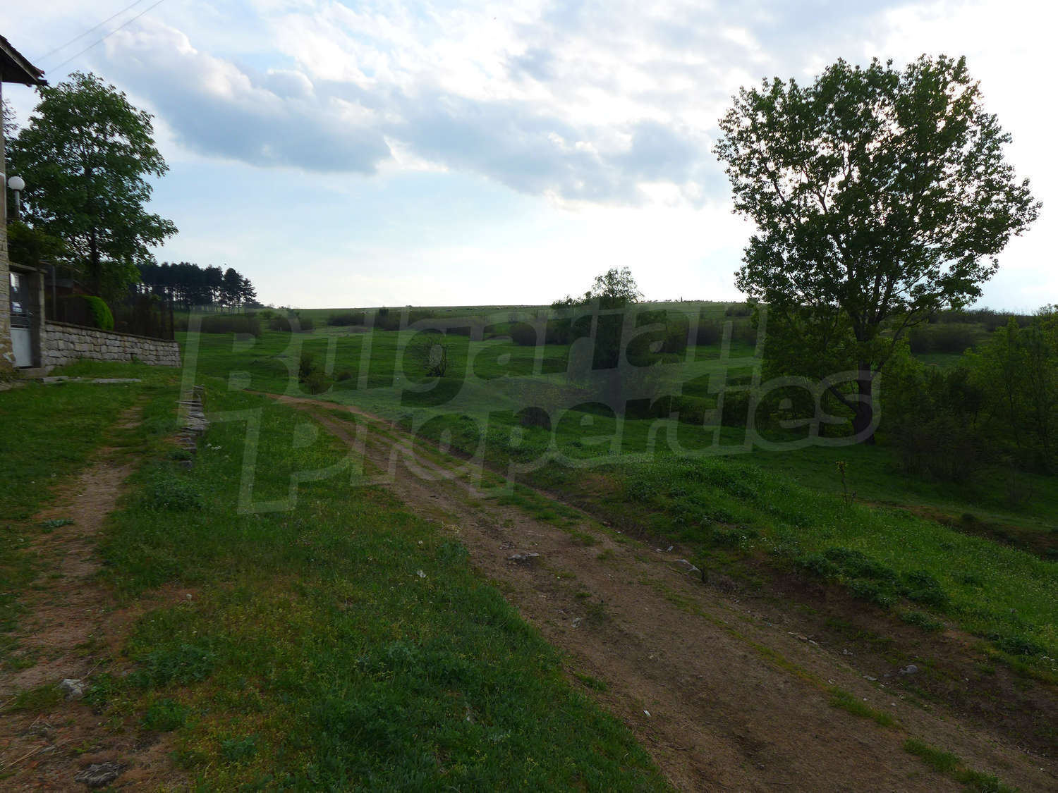 Gallery Picture 22