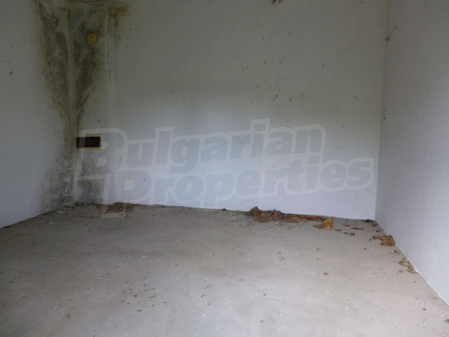 Gallery Picture 6