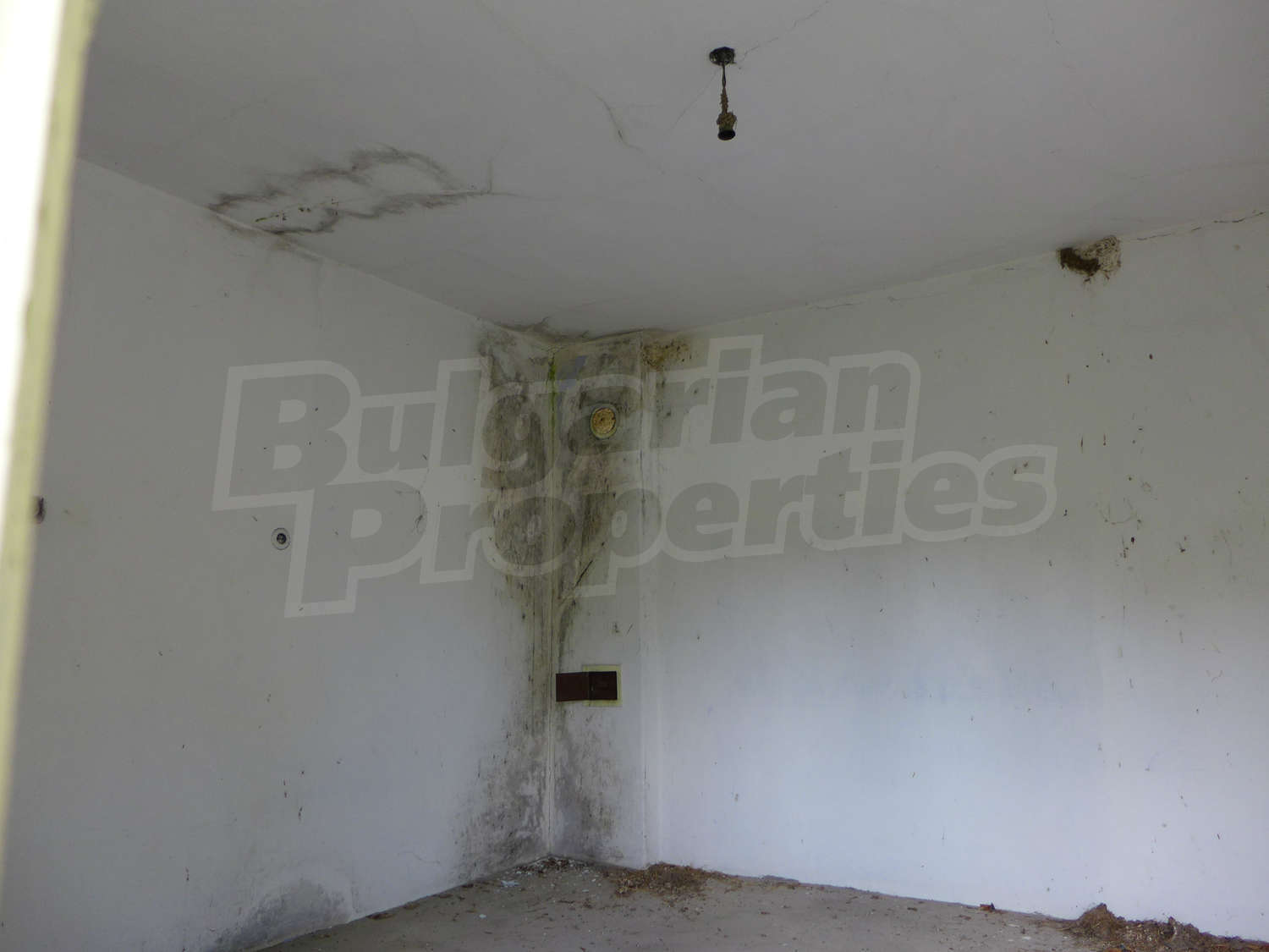 Gallery Picture 7