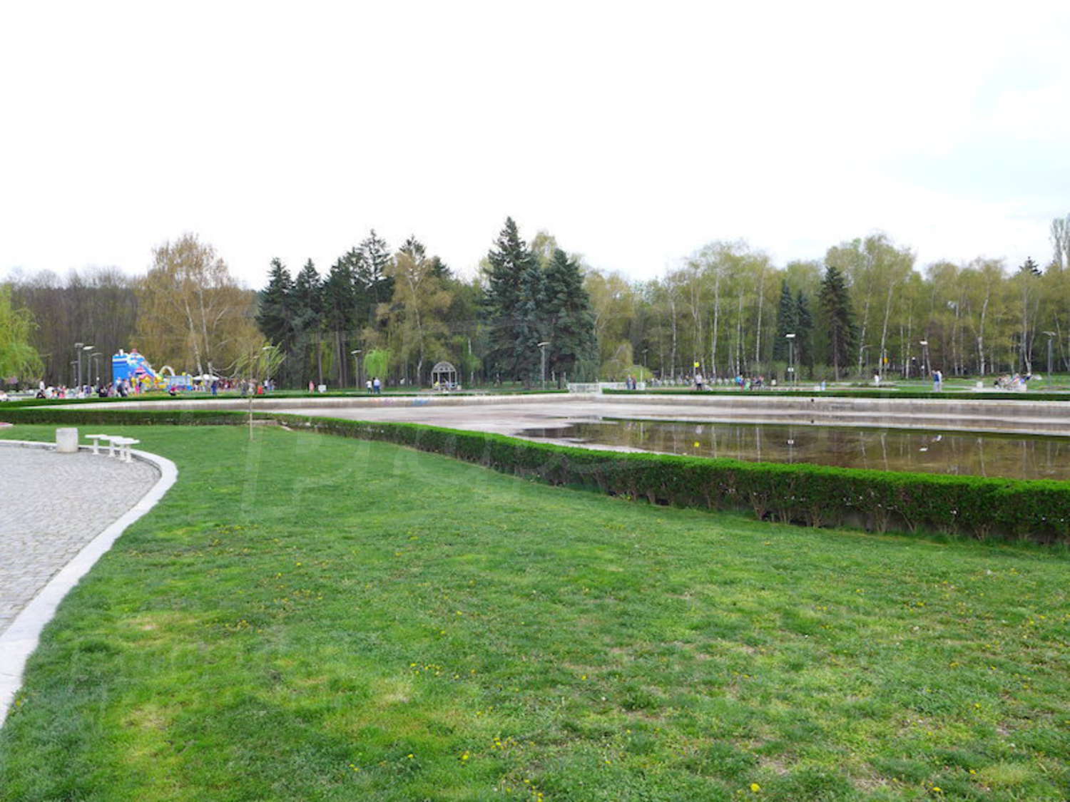 Gallery Picture 47