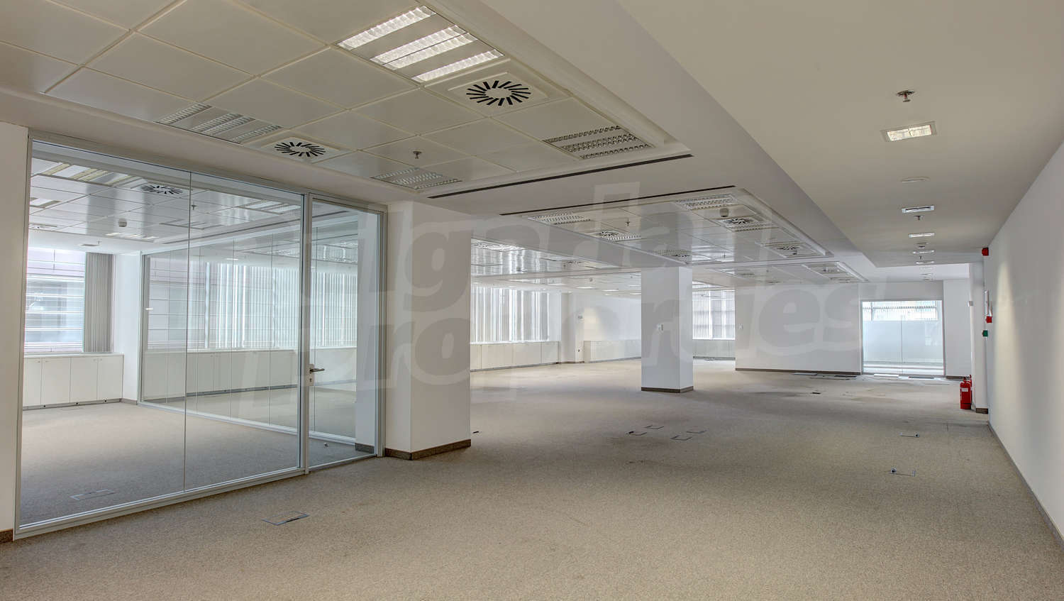 Gallery Picture 4