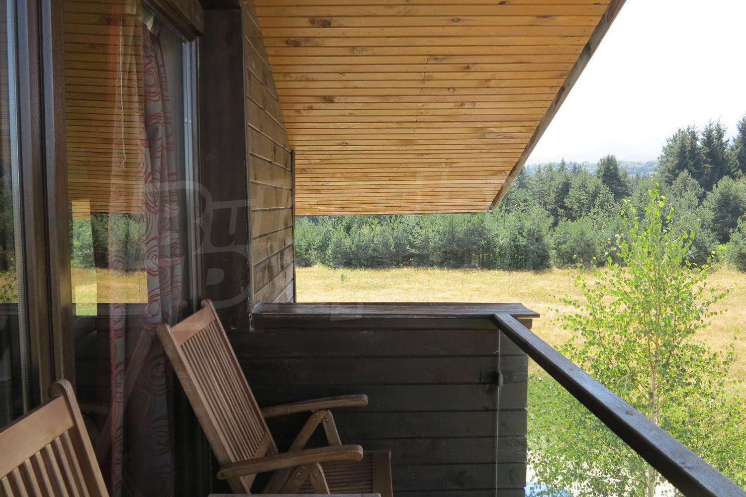 Gallery Picture 5