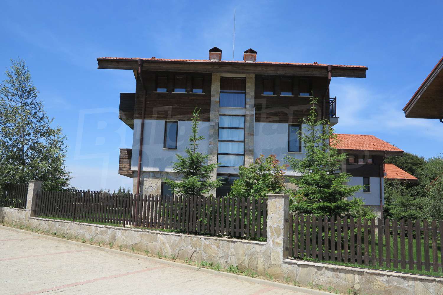 Gallery Picture 46