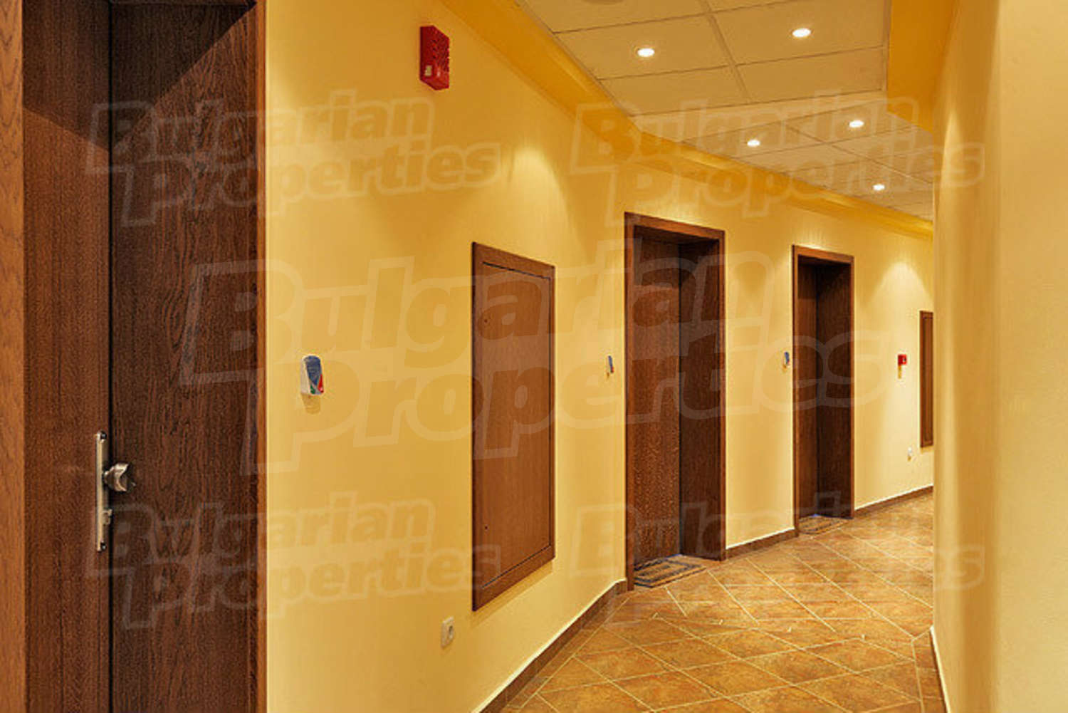 Gallery Picture 15