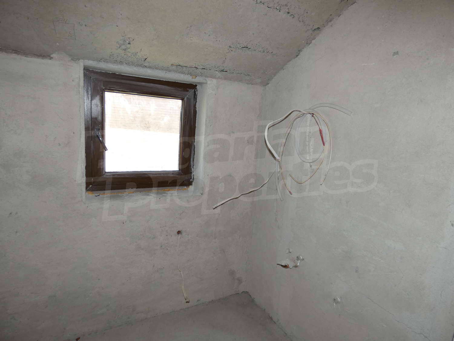 Gallery Picture 35
