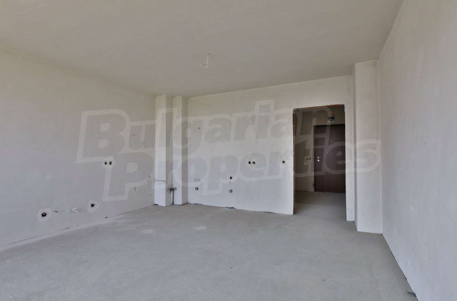 Gallery Picture 43