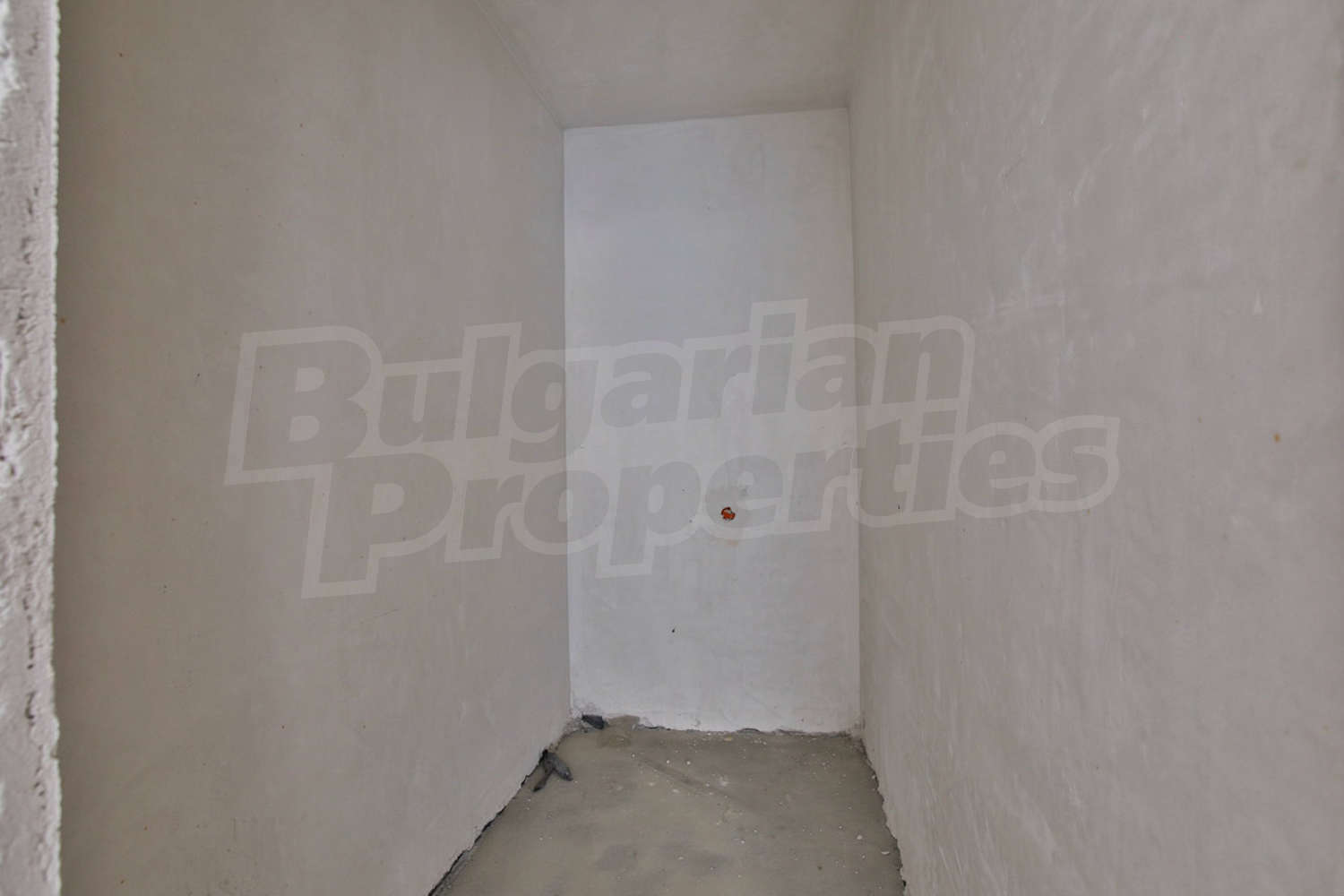 Gallery Picture 59