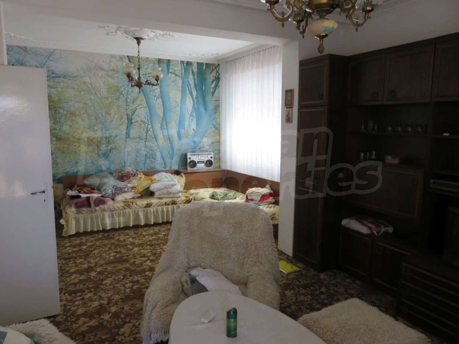 Gallery Picture 14
