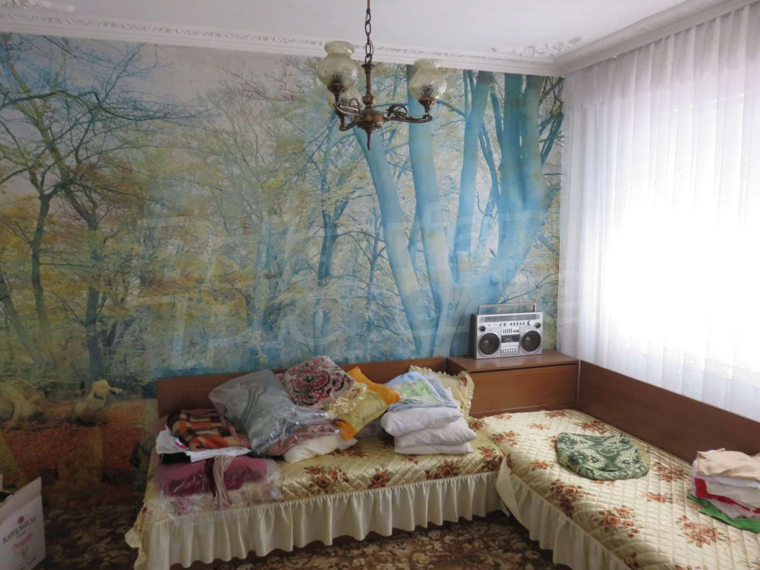 Gallery Picture 15