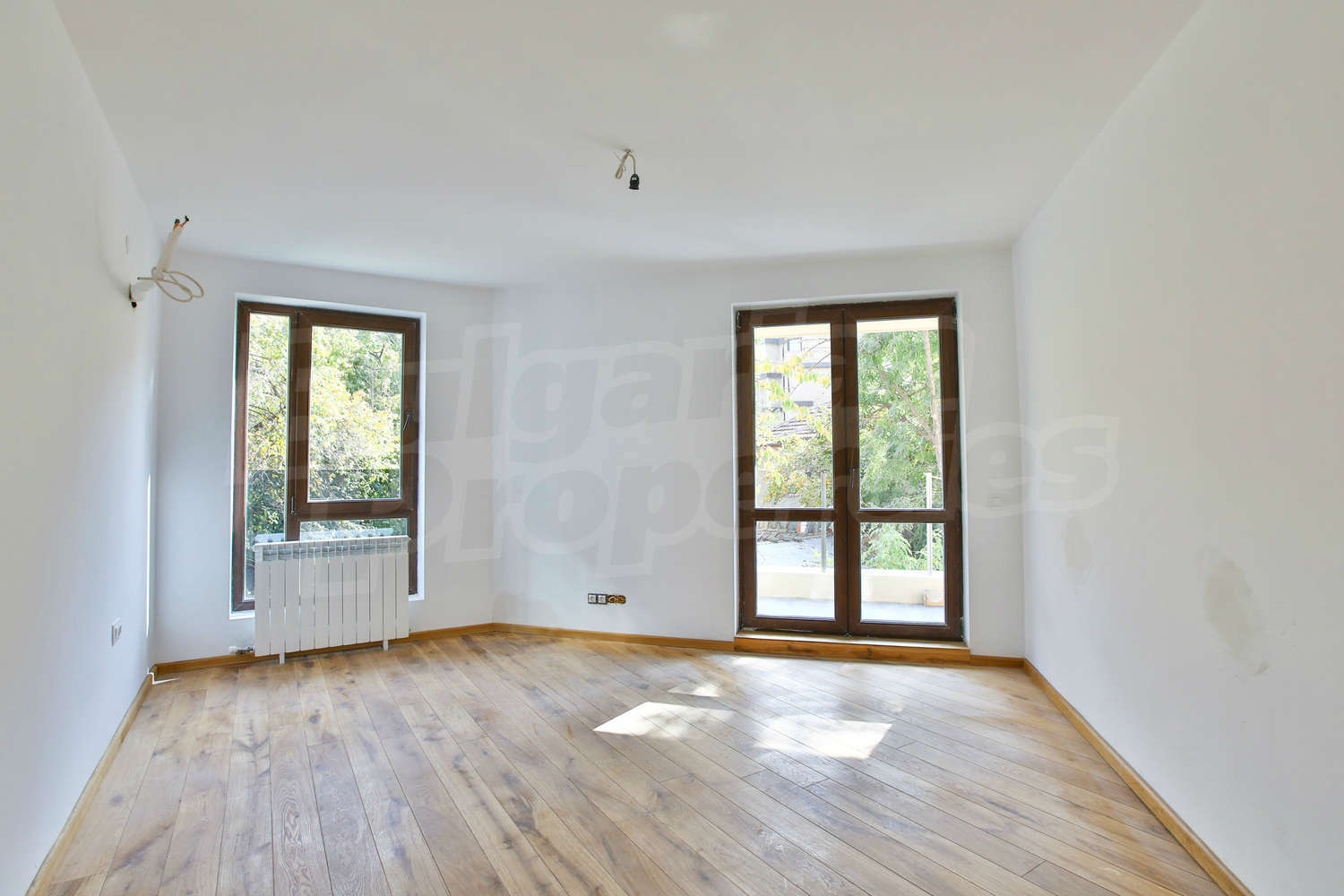Gallery Picture 16