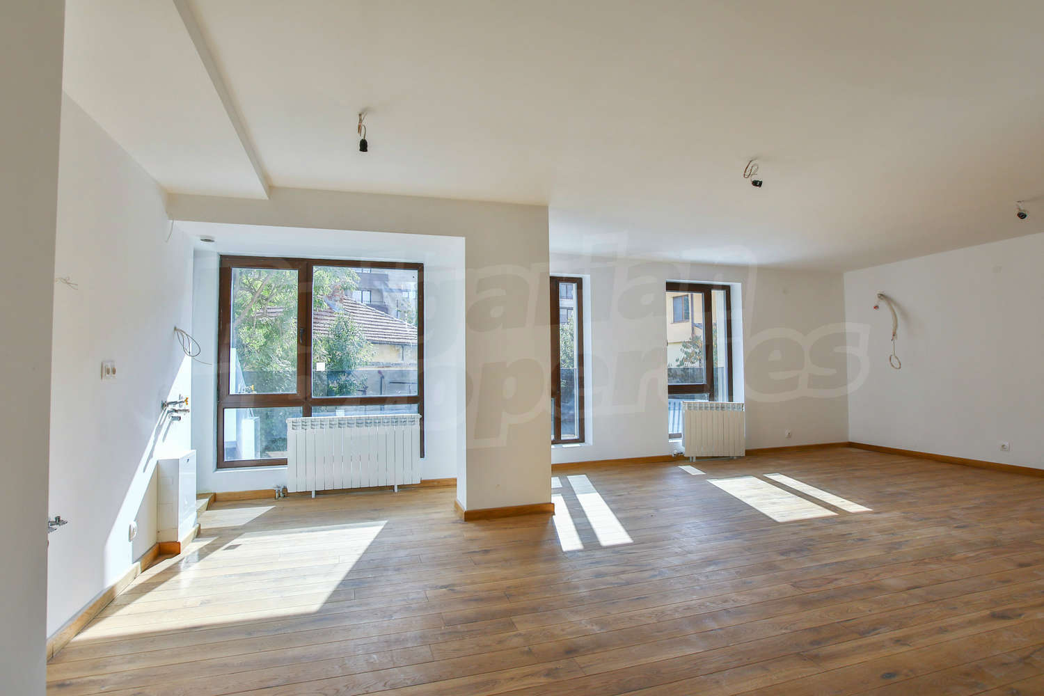 Gallery Picture 5