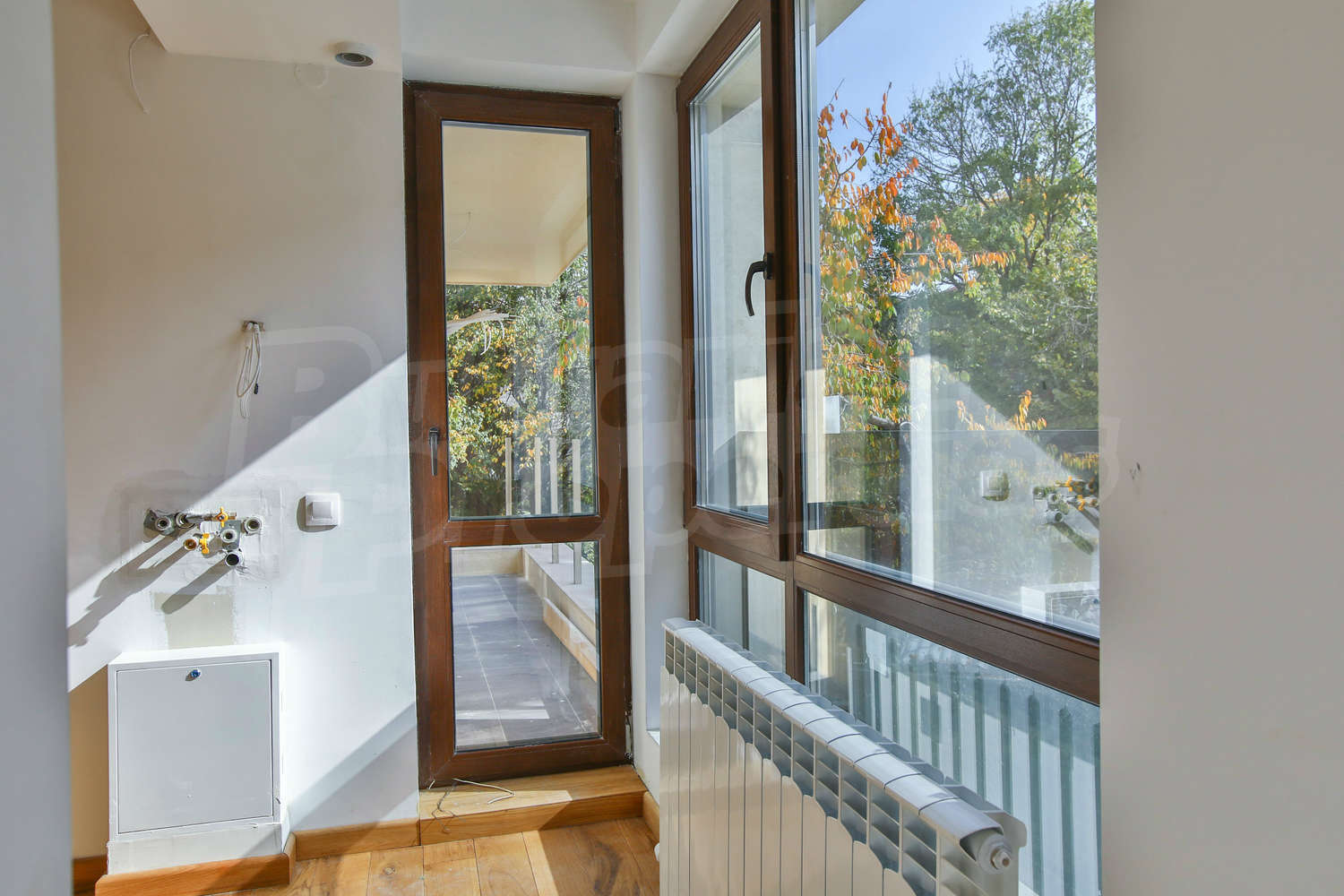 Gallery Picture 6