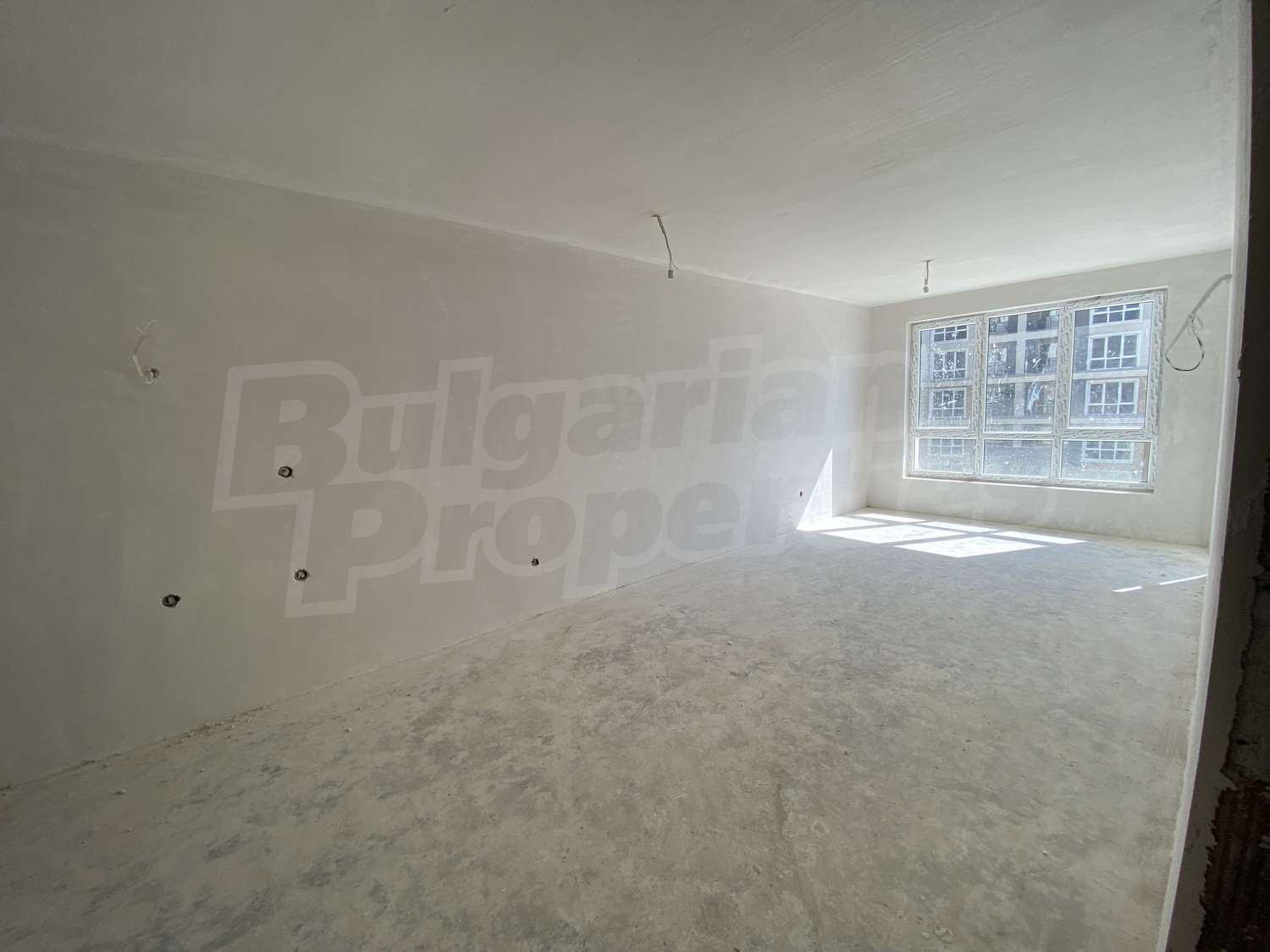 Gallery Picture 25