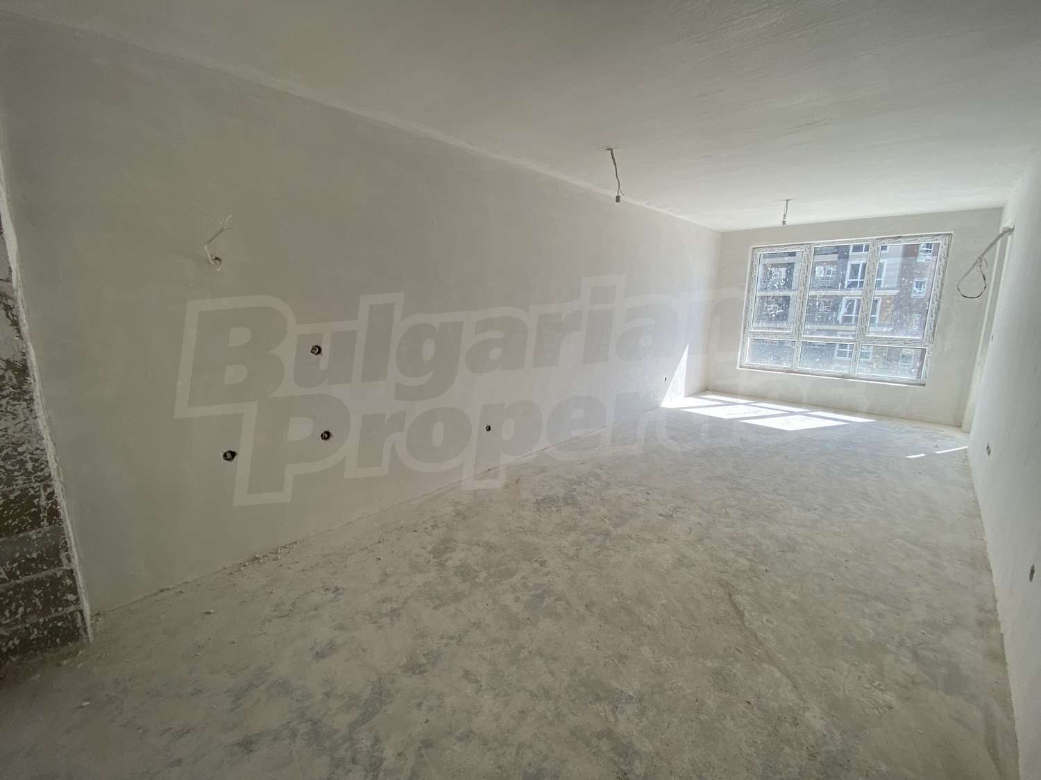 Gallery Picture 26