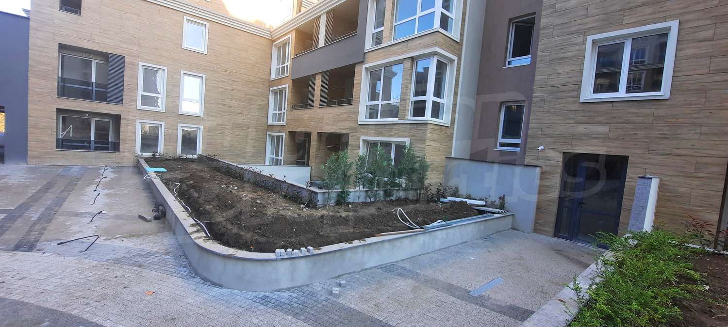 Gallery Picture 49