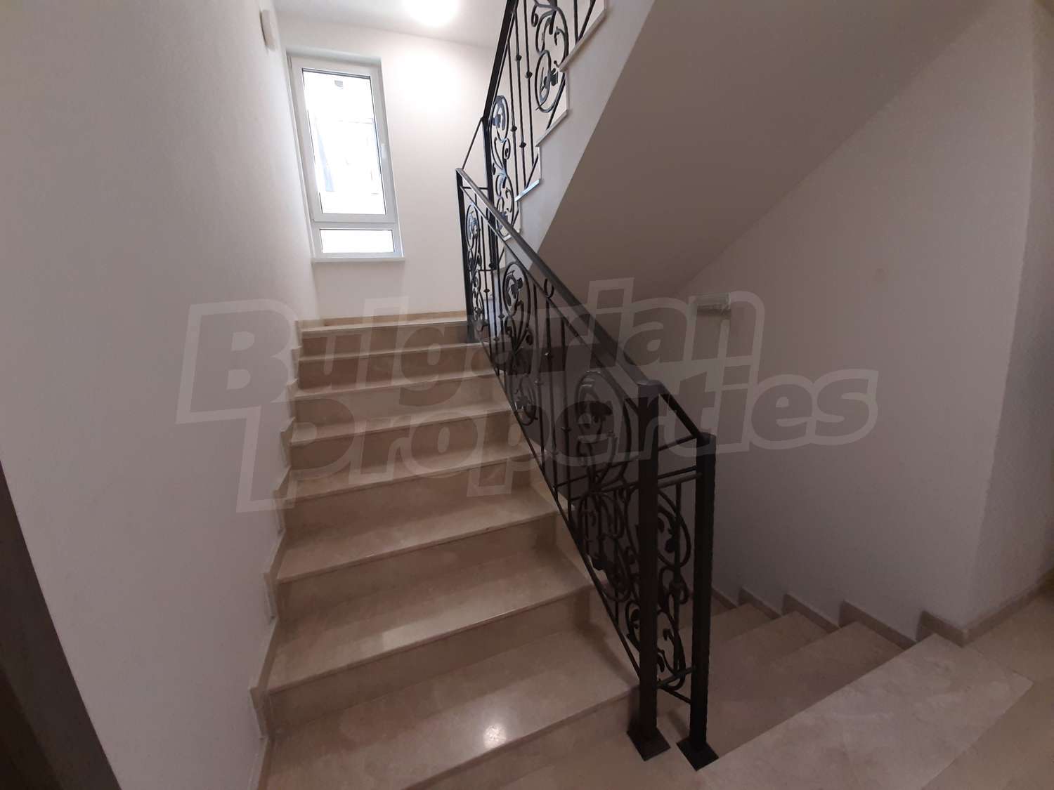 Gallery Picture 5