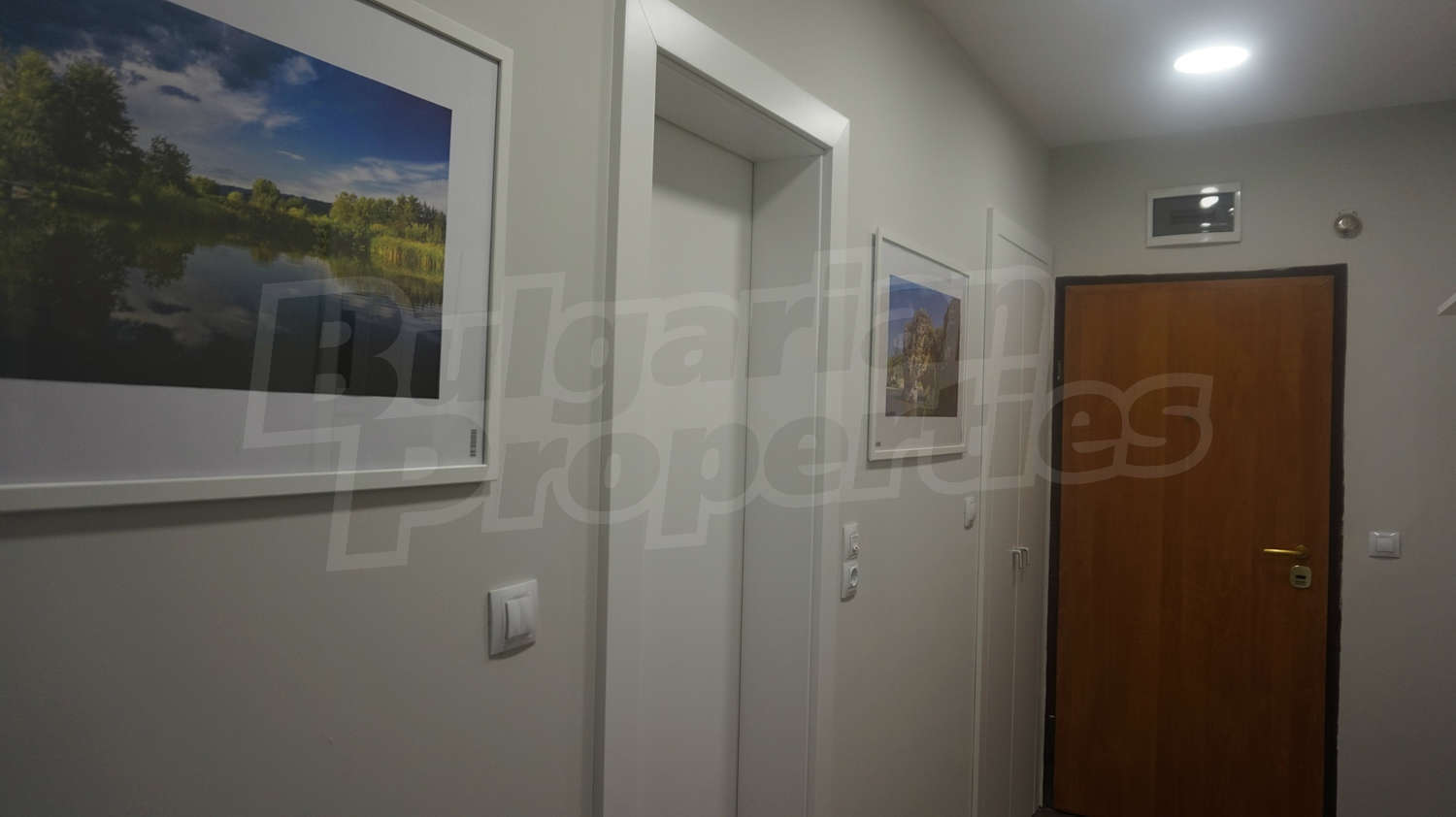 Gallery Picture 14