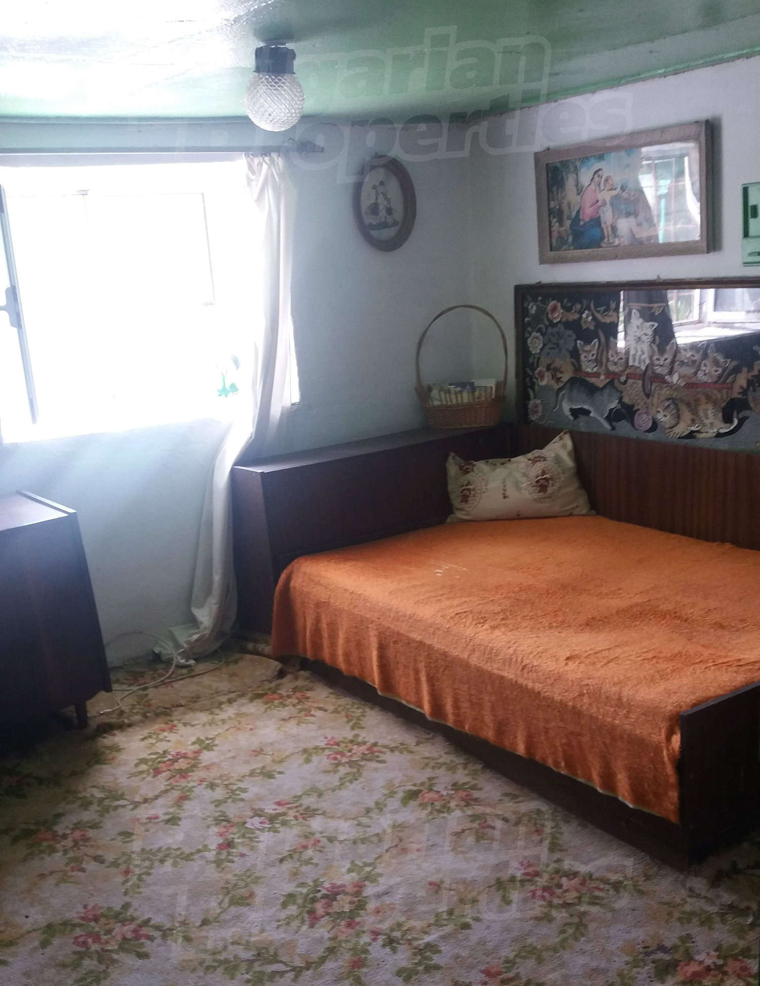 Gallery Picture 29