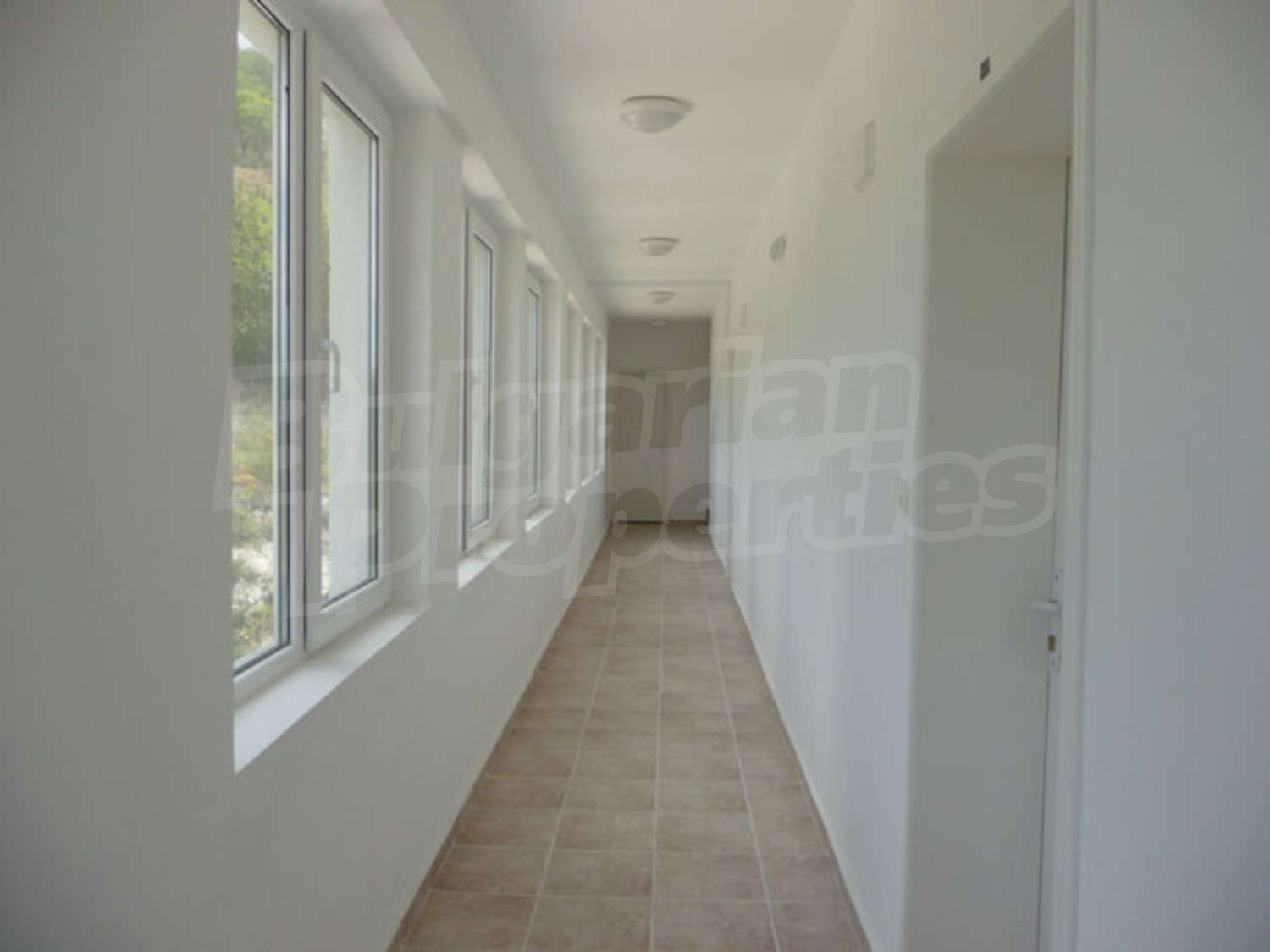 Gallery Picture 11