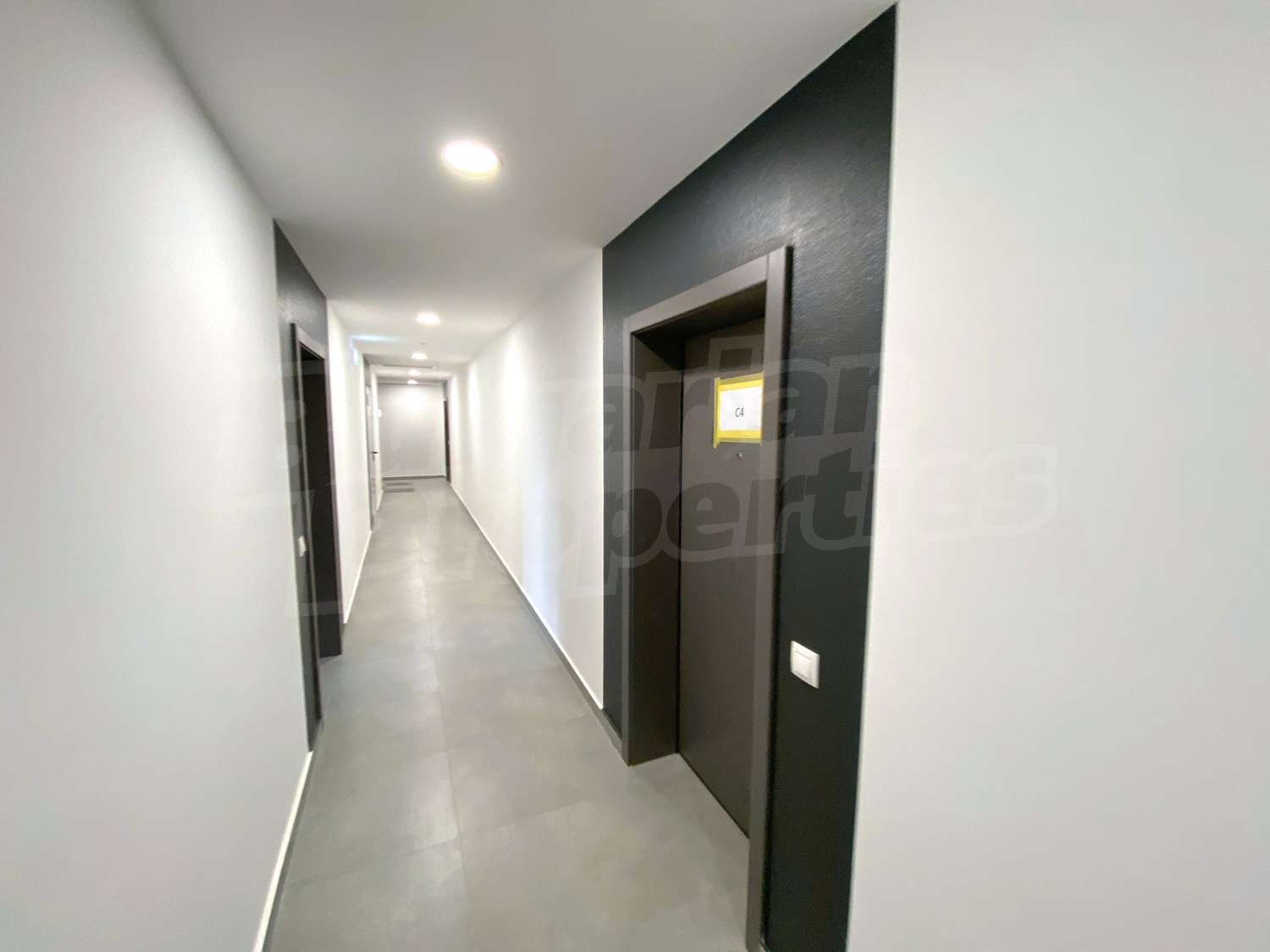 Gallery Picture 23