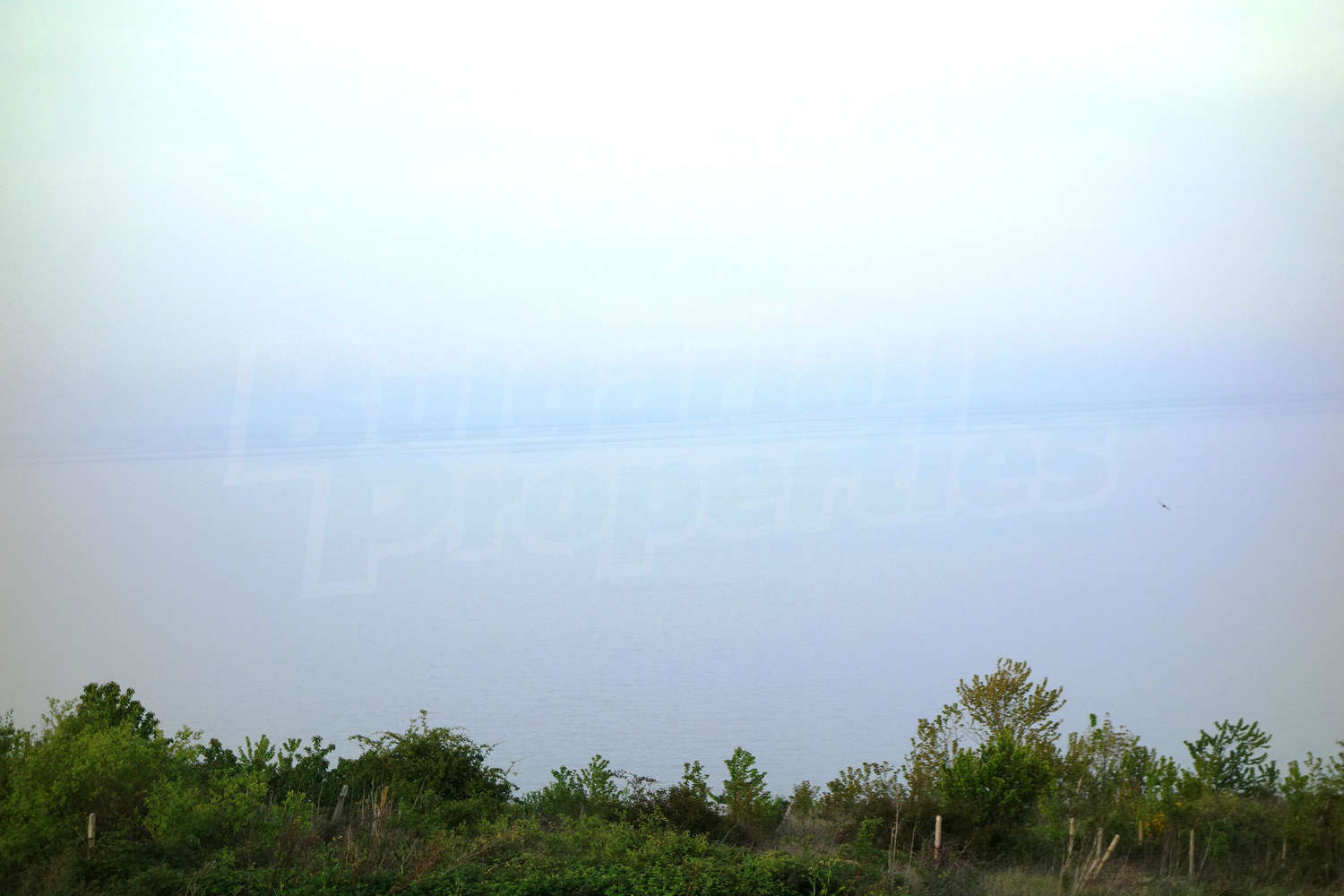 Gallery Picture 12