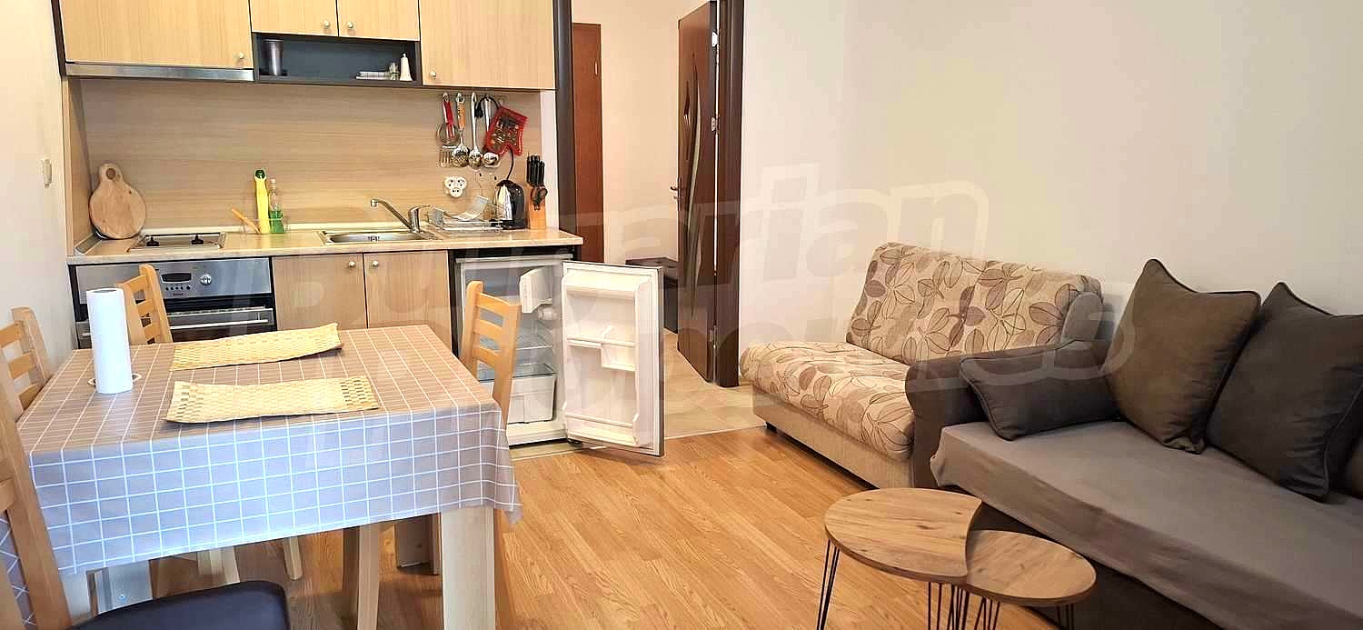 Уютно студио, преустроено в едноспален апартамент с панорамна гледка към Пирин планина Уютно студио, преустроено в едноспален апартамент с панорамна гледка към Пирин планина