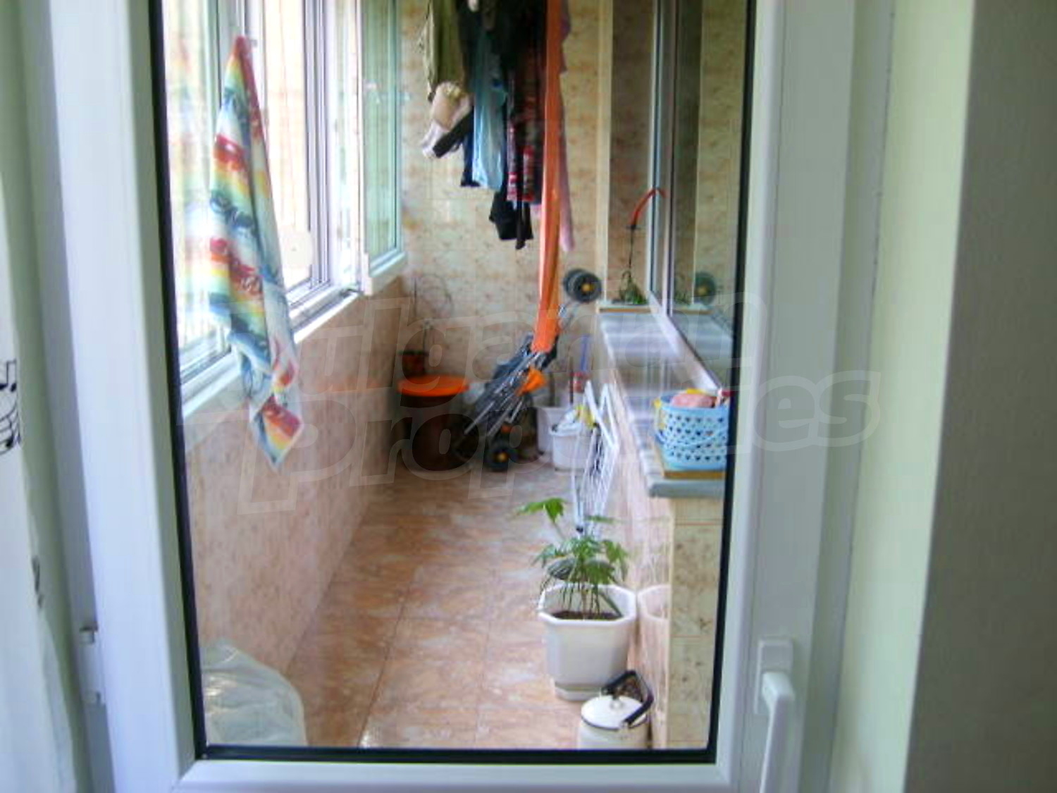 Gallery Picture 10