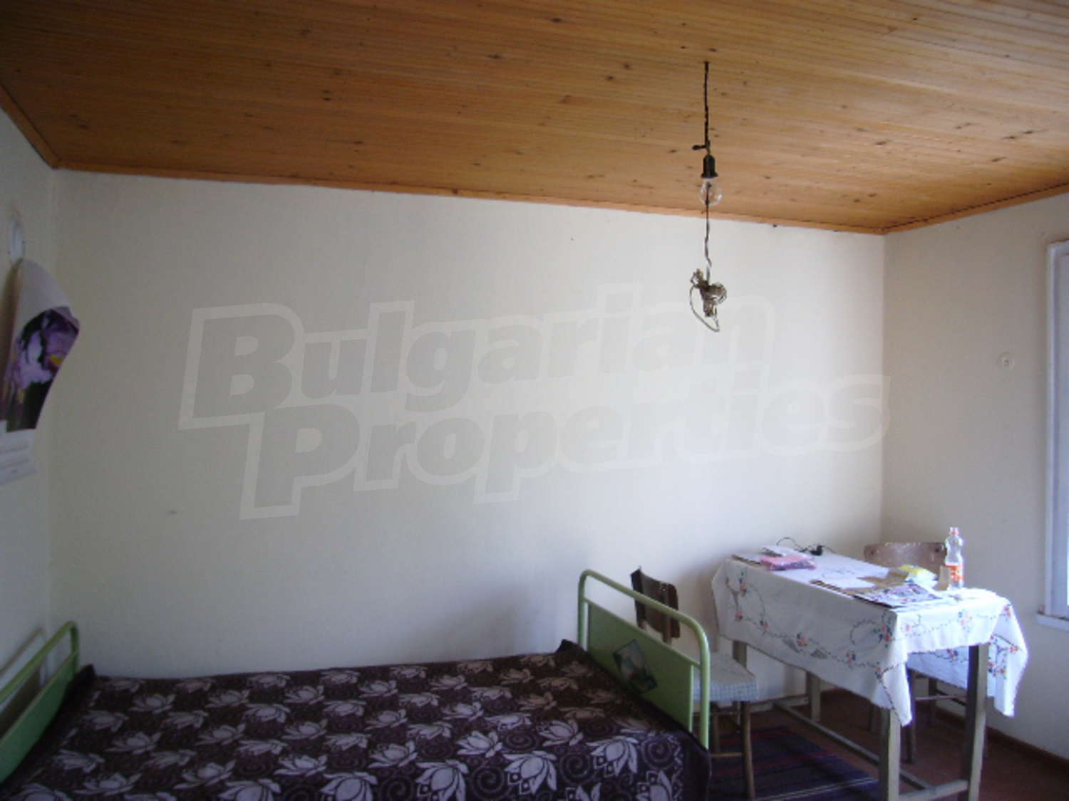 Gallery Picture 5
