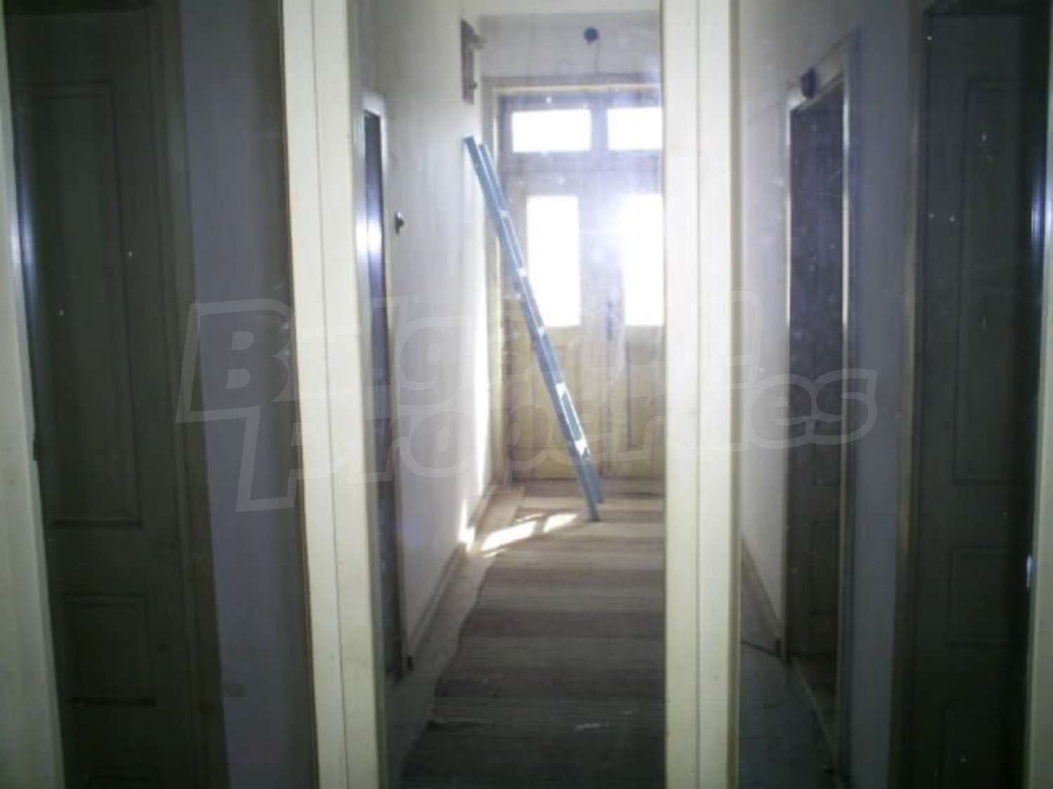 Gallery Picture 5