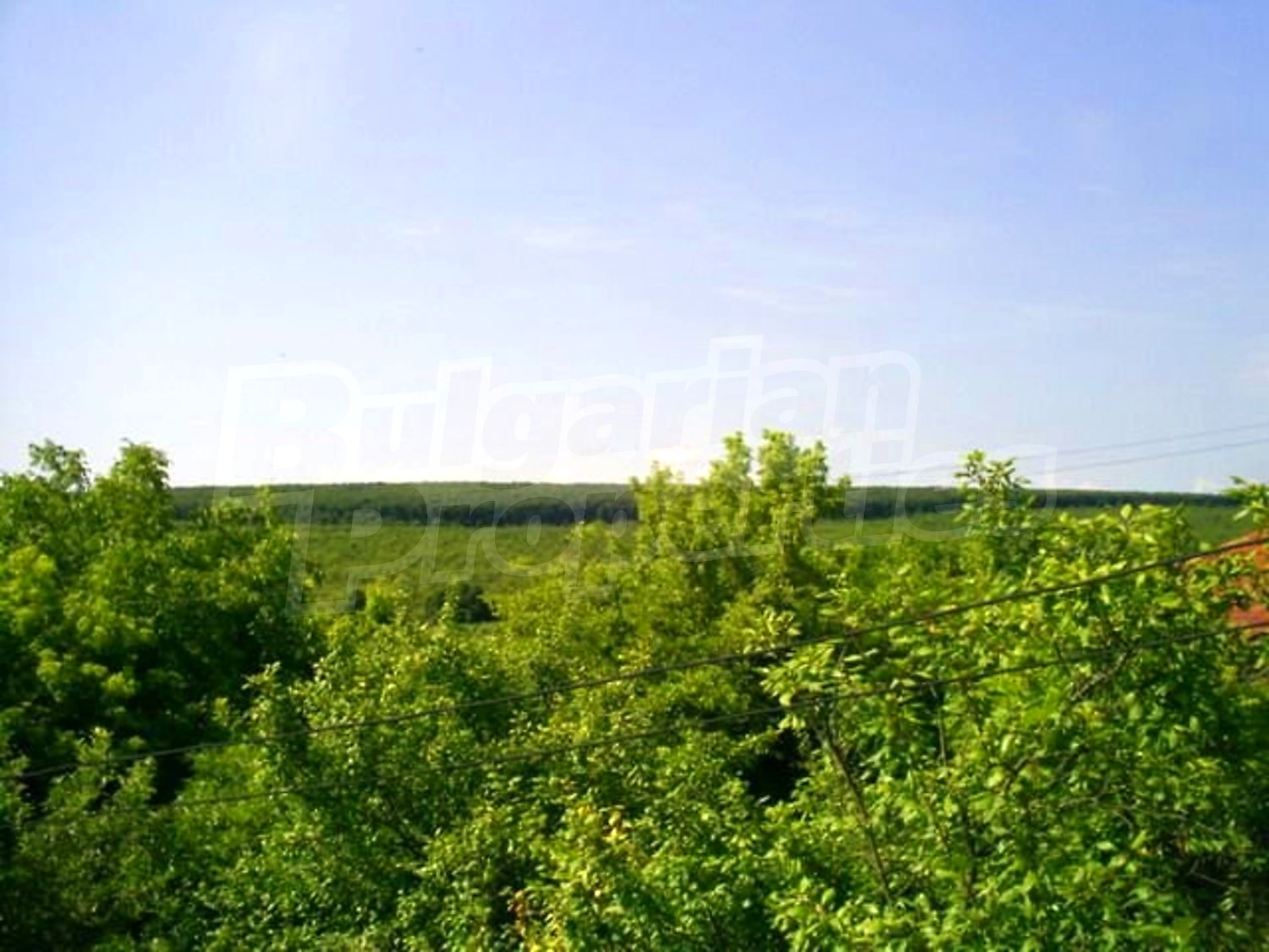 Gallery Picture 10