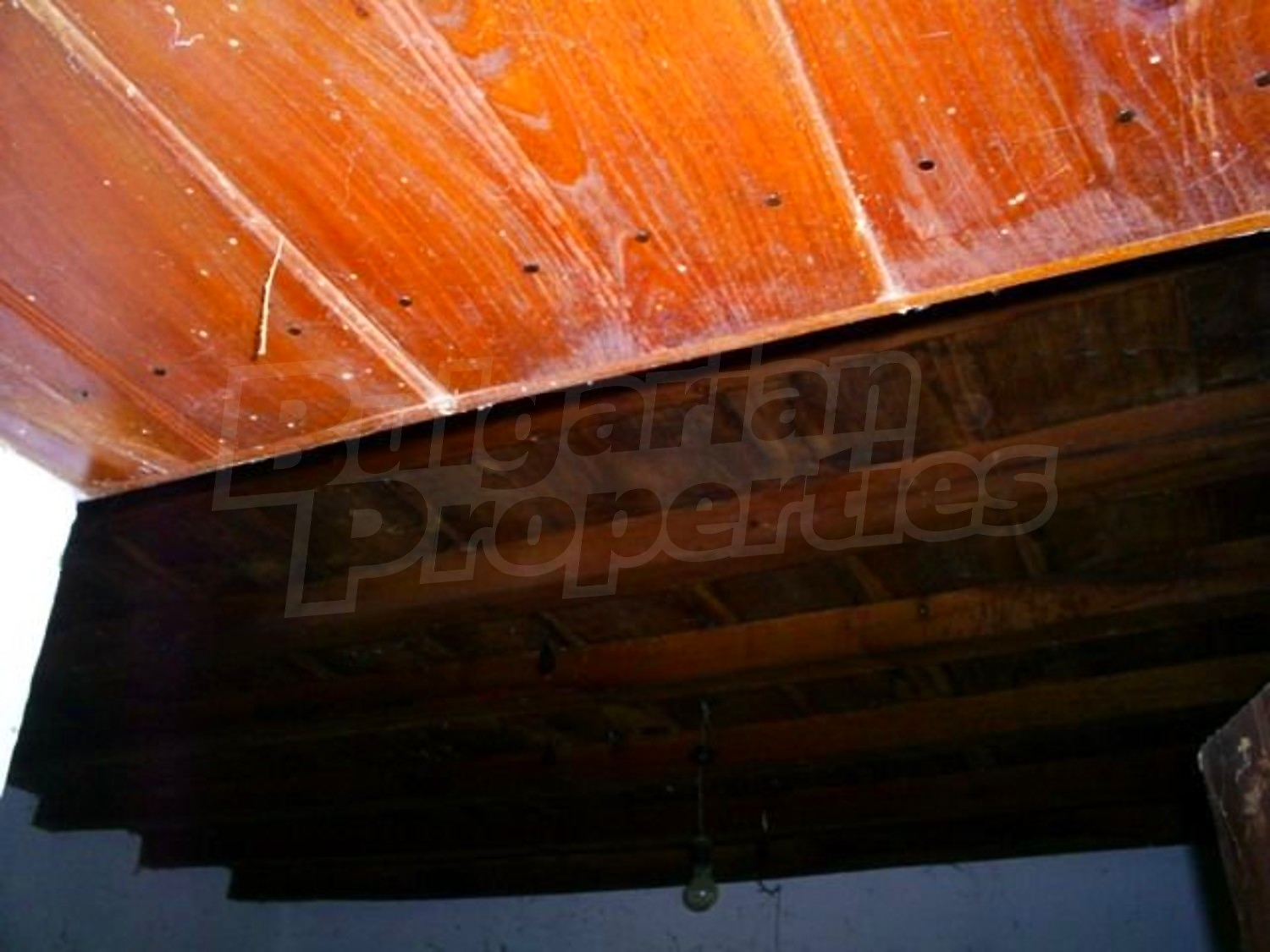 Gallery Picture 6