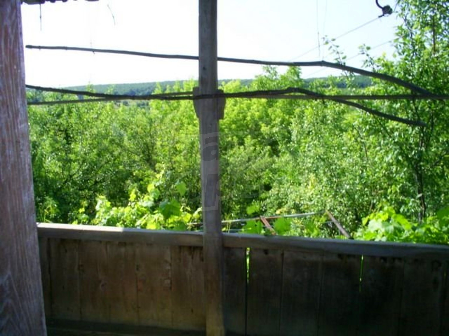 Gallery Picture 9