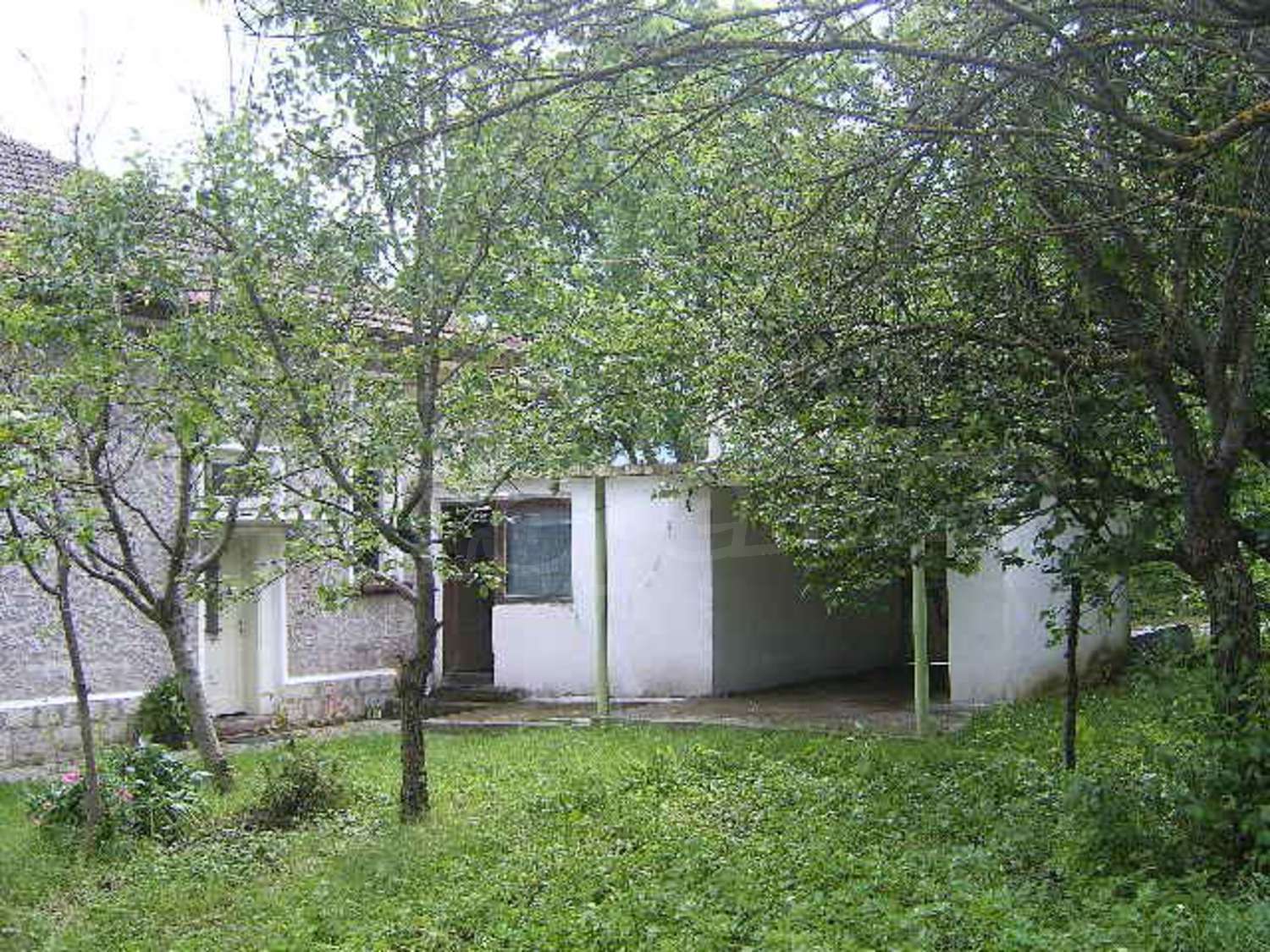 Gallery Picture 5
