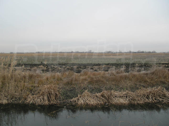 Property suitable for building a factory or an industrial unit Property suitable for building a factory or an industrial unit