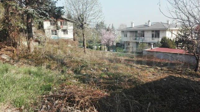 Ровный участок у подножия горы Витоша Ровный участок у подножия горы Витоша