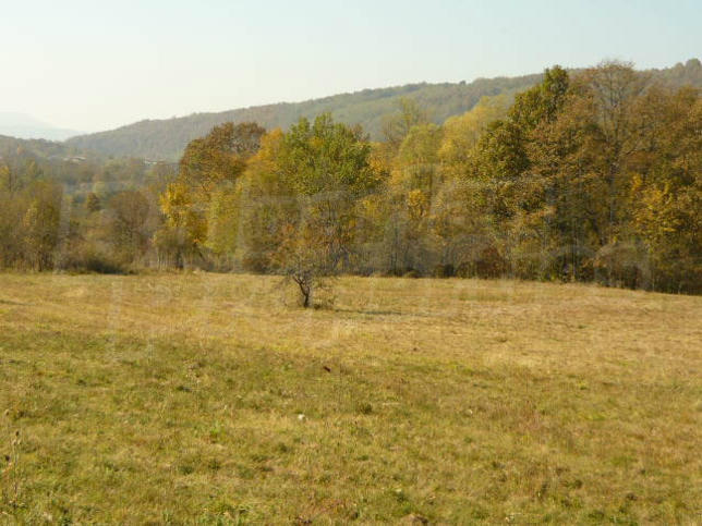 Property for animal farm construction with views of the Elena Balkan Property for animal farm construction with views of the Elena Balkan